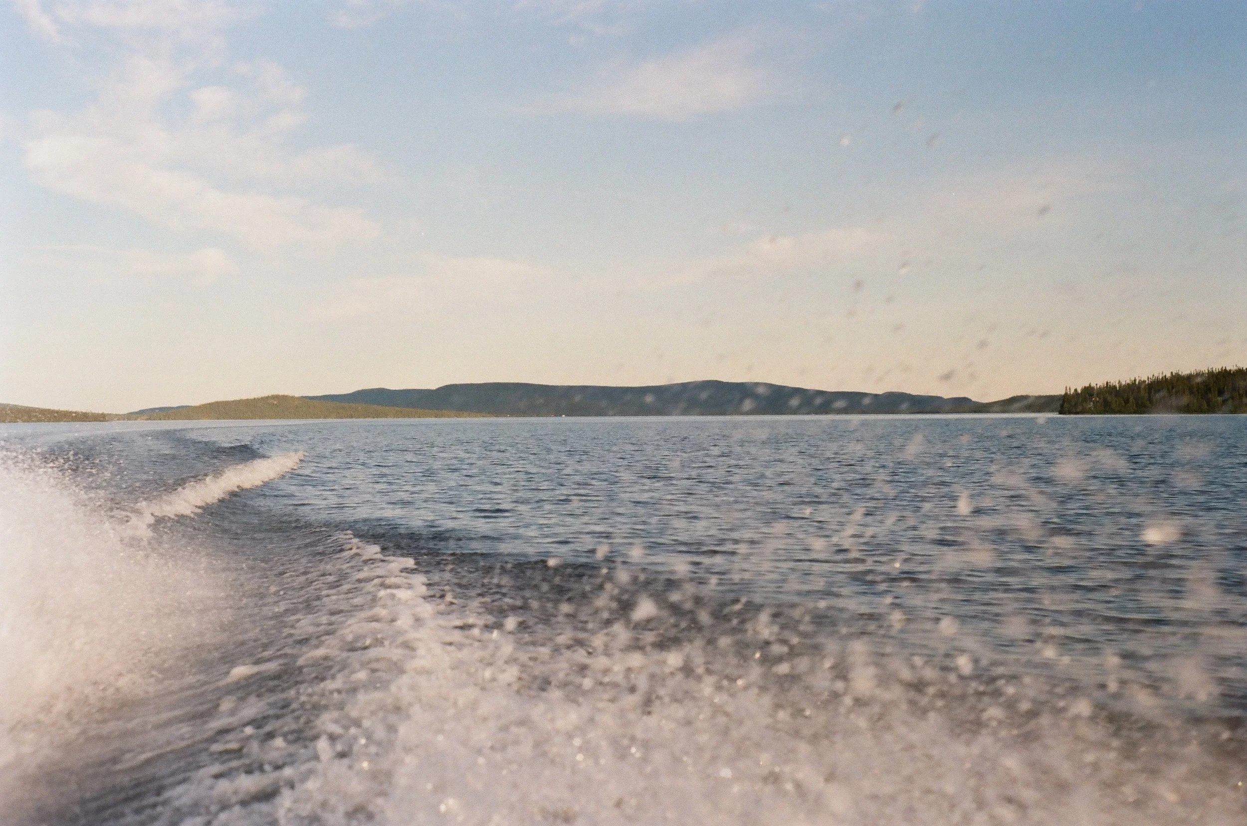 terms and conditions