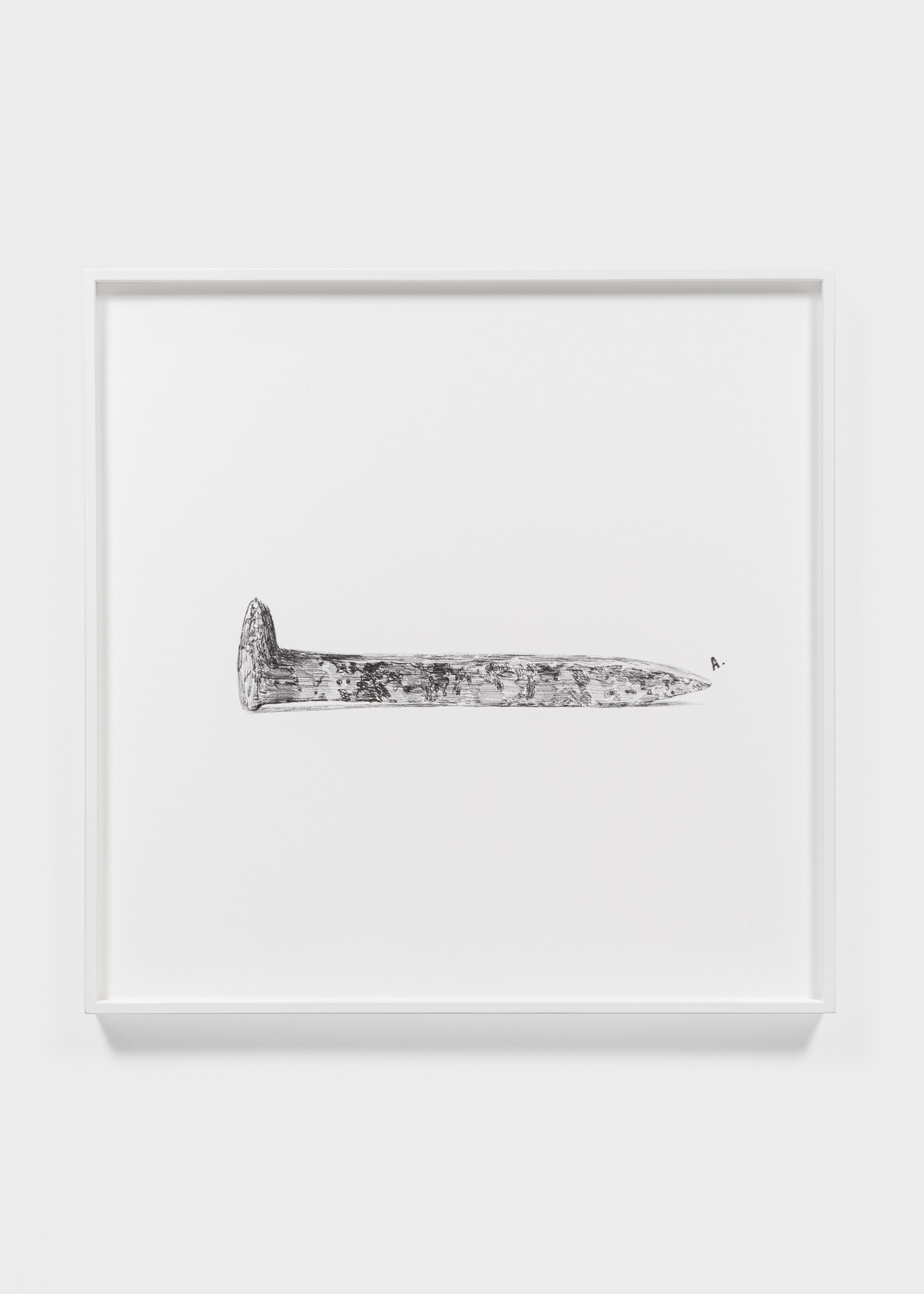 Black and white illustration of a single large nail with textured surface in a minimalistic frame, displayed against a plain white background.