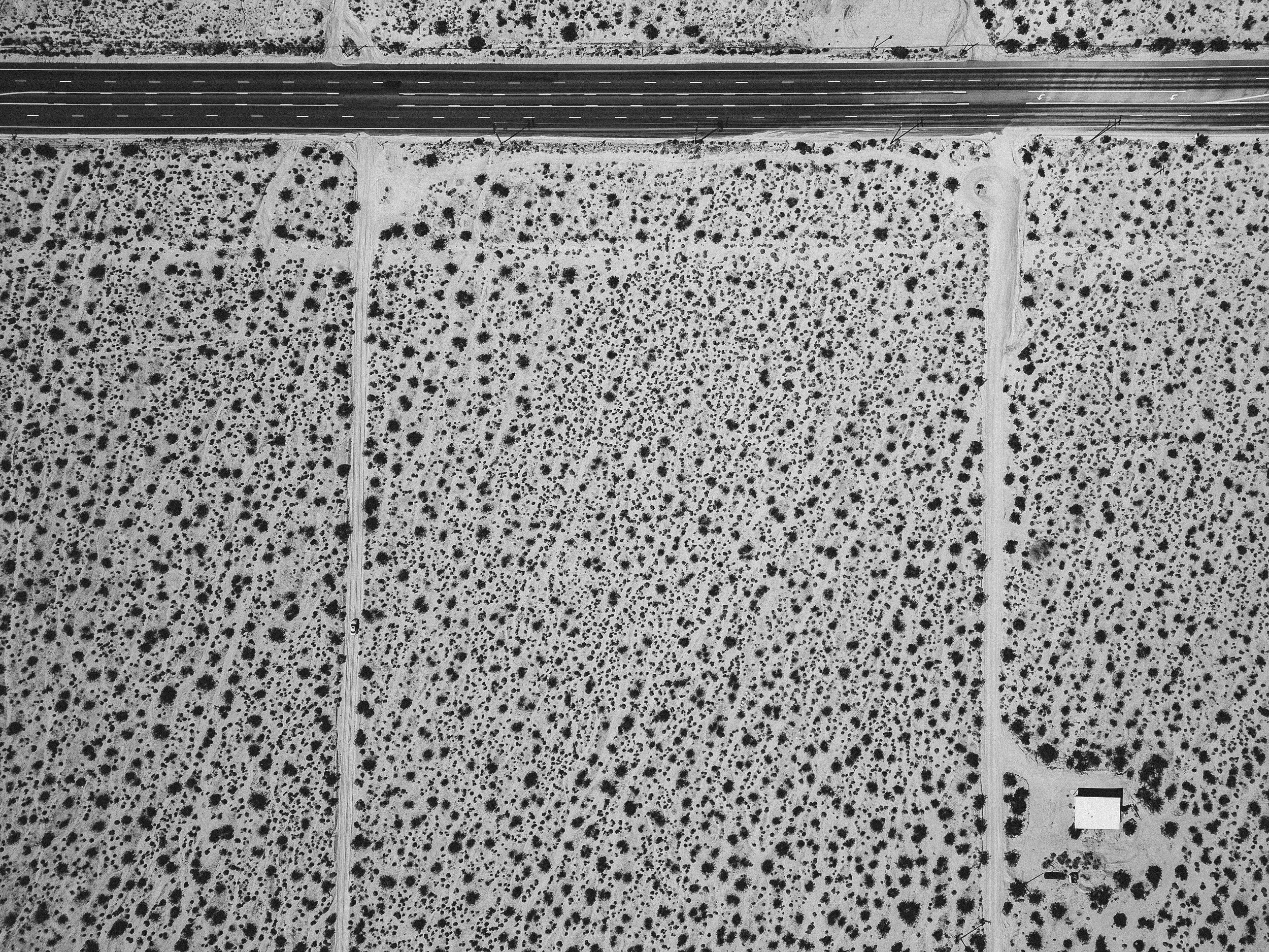 DJI_0696-2.jpg