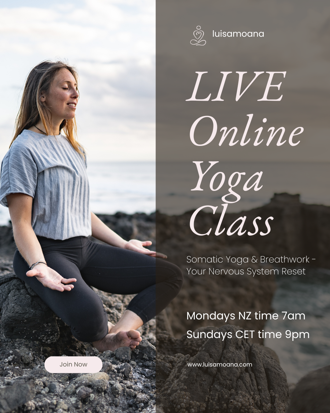 Online - Somatic Yoga &amp; Breathwork: Nervous System Reset 