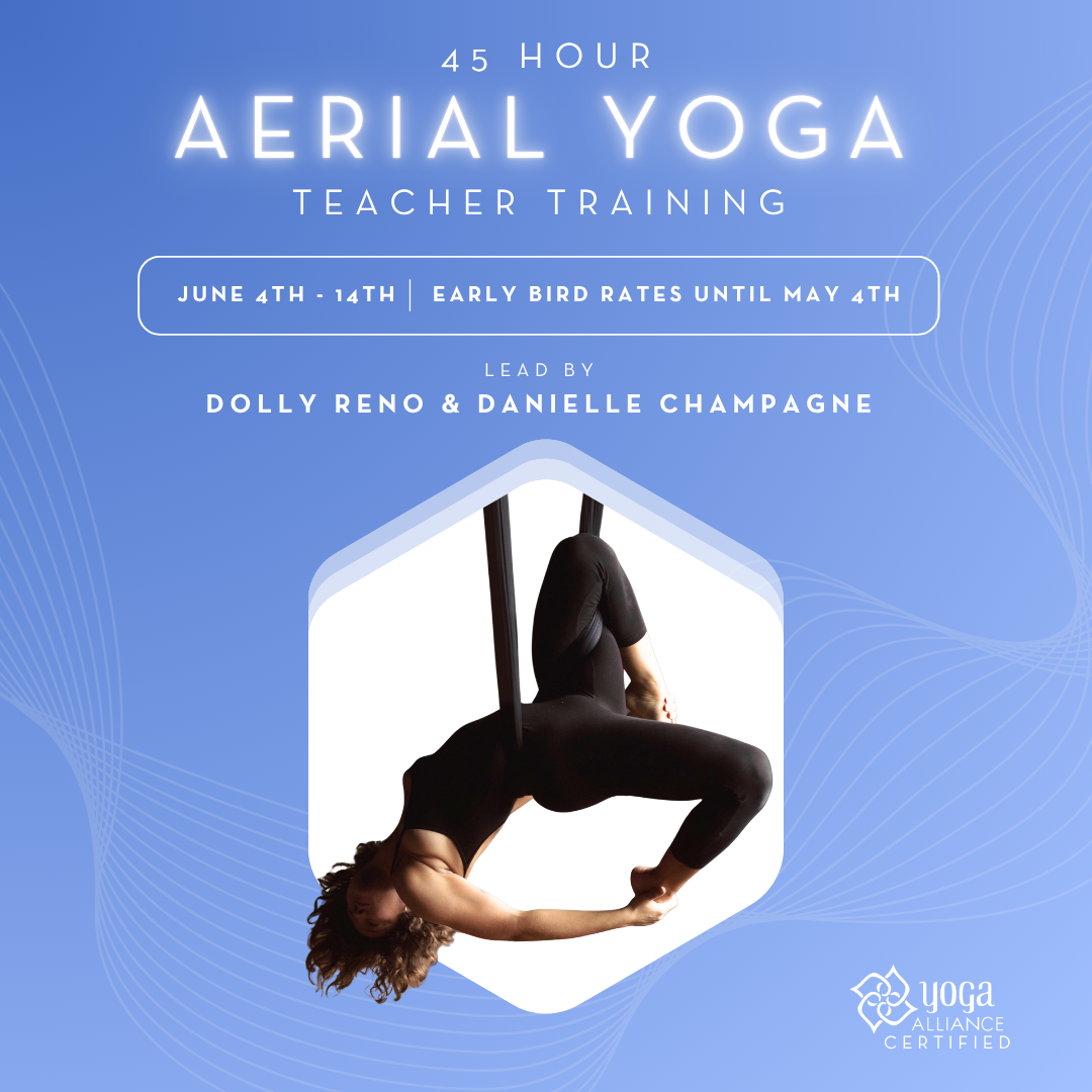 45 Hour Aerial Yoga Teacher Training