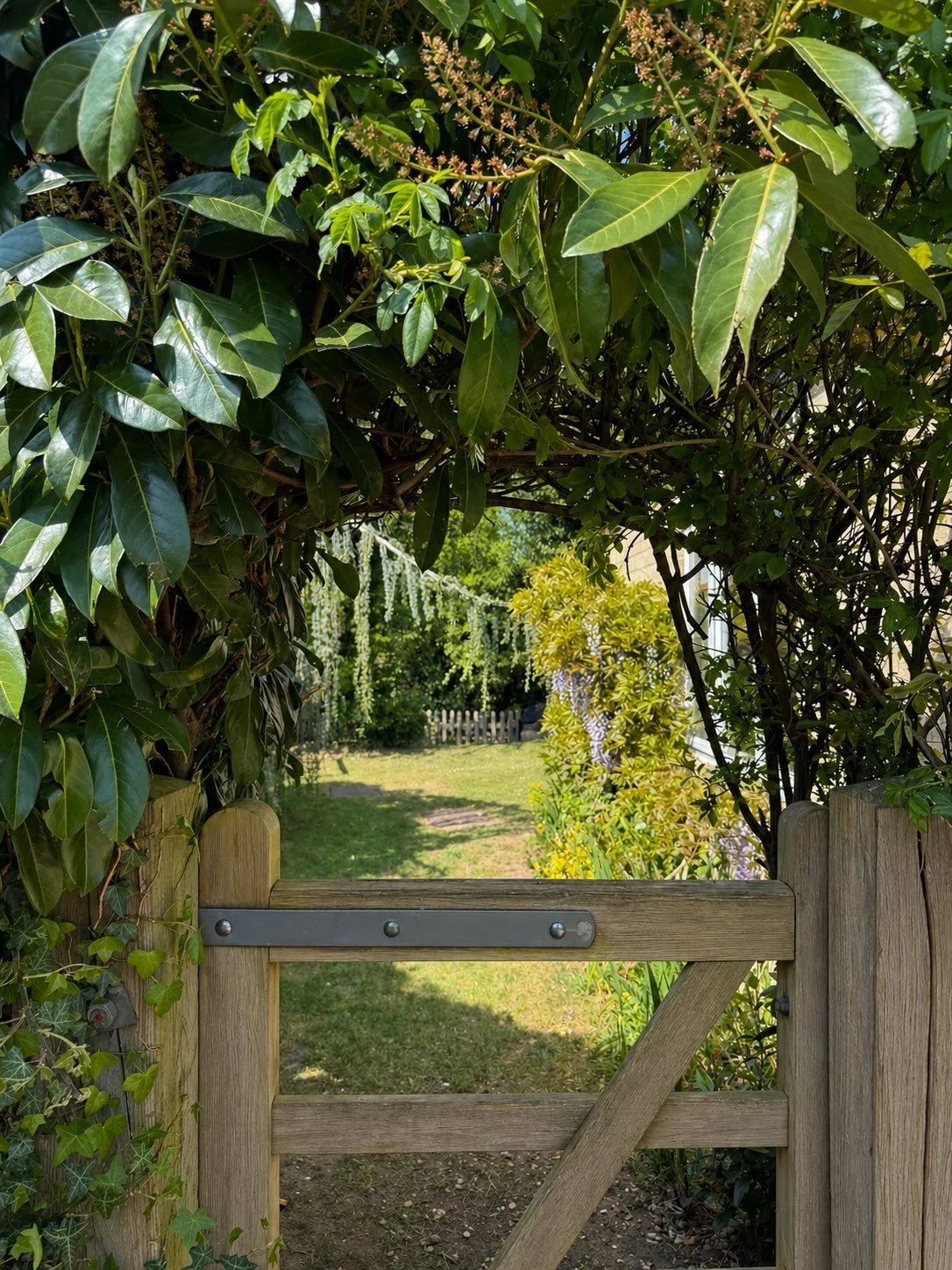 Exciting news from us at Field &amp; Fox 💫 

A little sneak peek through this lovely archway into one of our newest projects&hellip;

Alongside this, we&rsquo;re pleased to have our new signage boards now in place, marking the start of works and bri