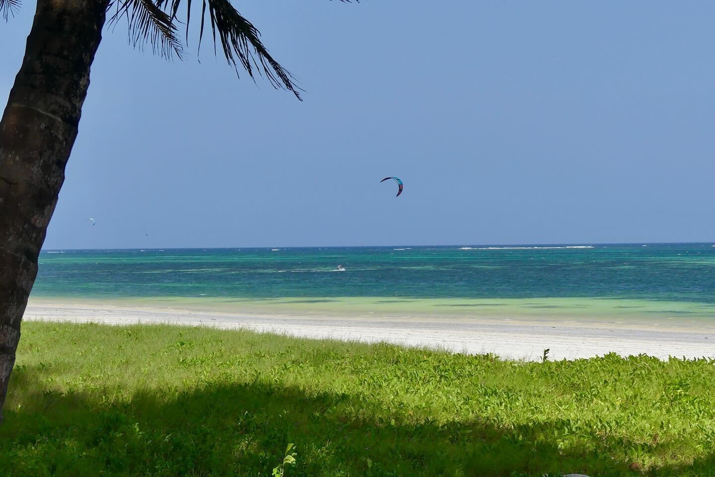 What is your perfect imagination of a kite spot? 💭 
We think this picture pretty much sums it all up! 🩵😎

Visit our kitesurfing &amp; wingfoiling center @pallet_cafe_diani 📍 

#kenya #dianibeach #kitesurfingkenya #kitesurfingdianibeach #wingfoilk