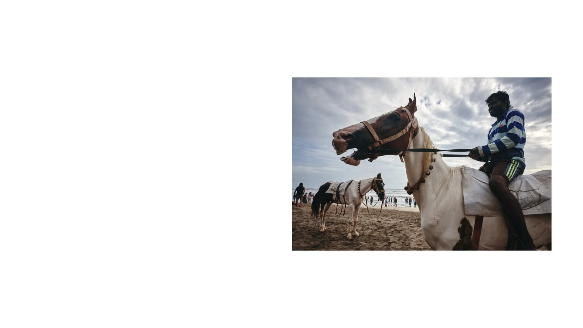 A HORSE STORY.006.jpeg