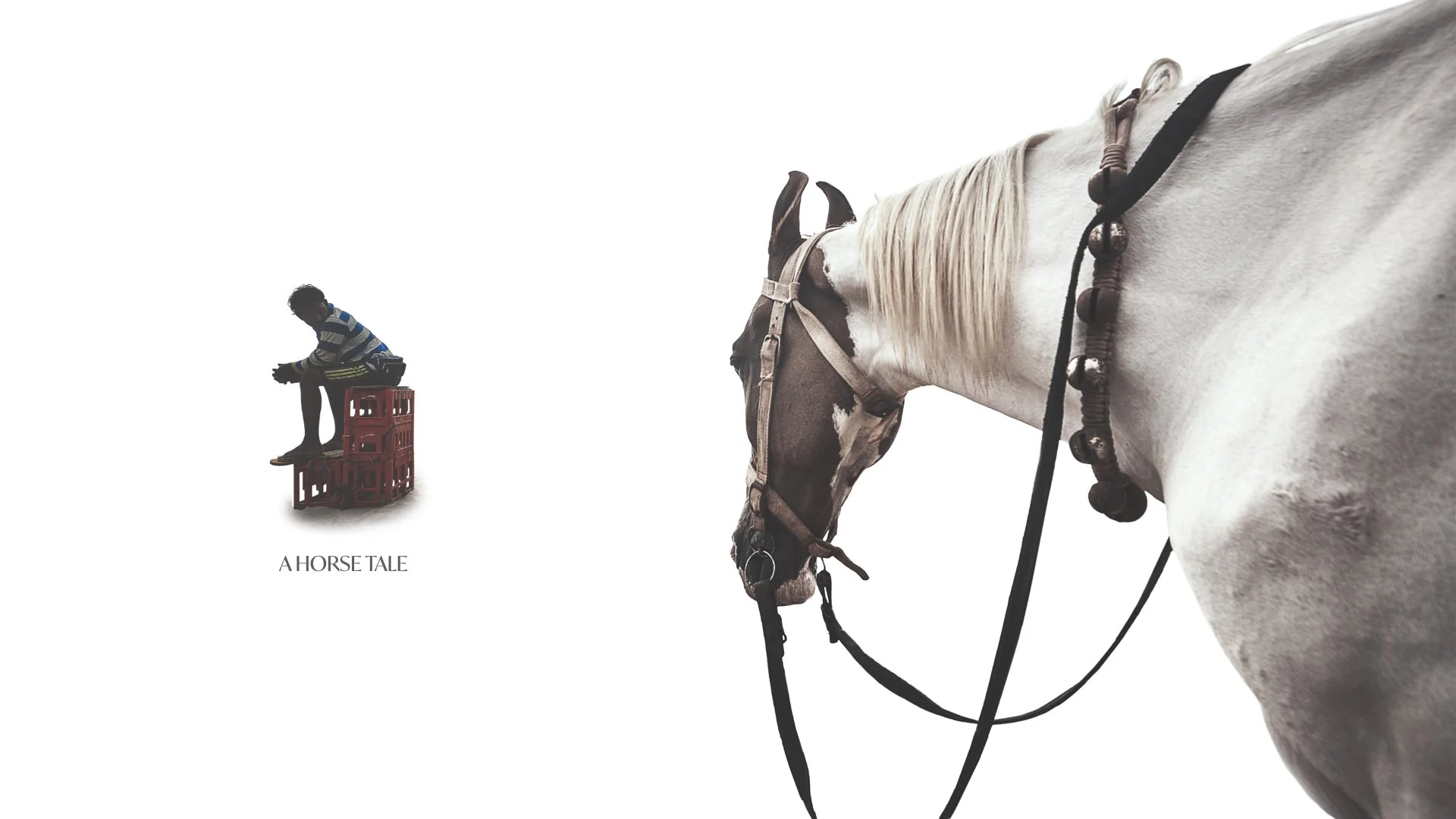 A HORSE STORY.001.jpeg