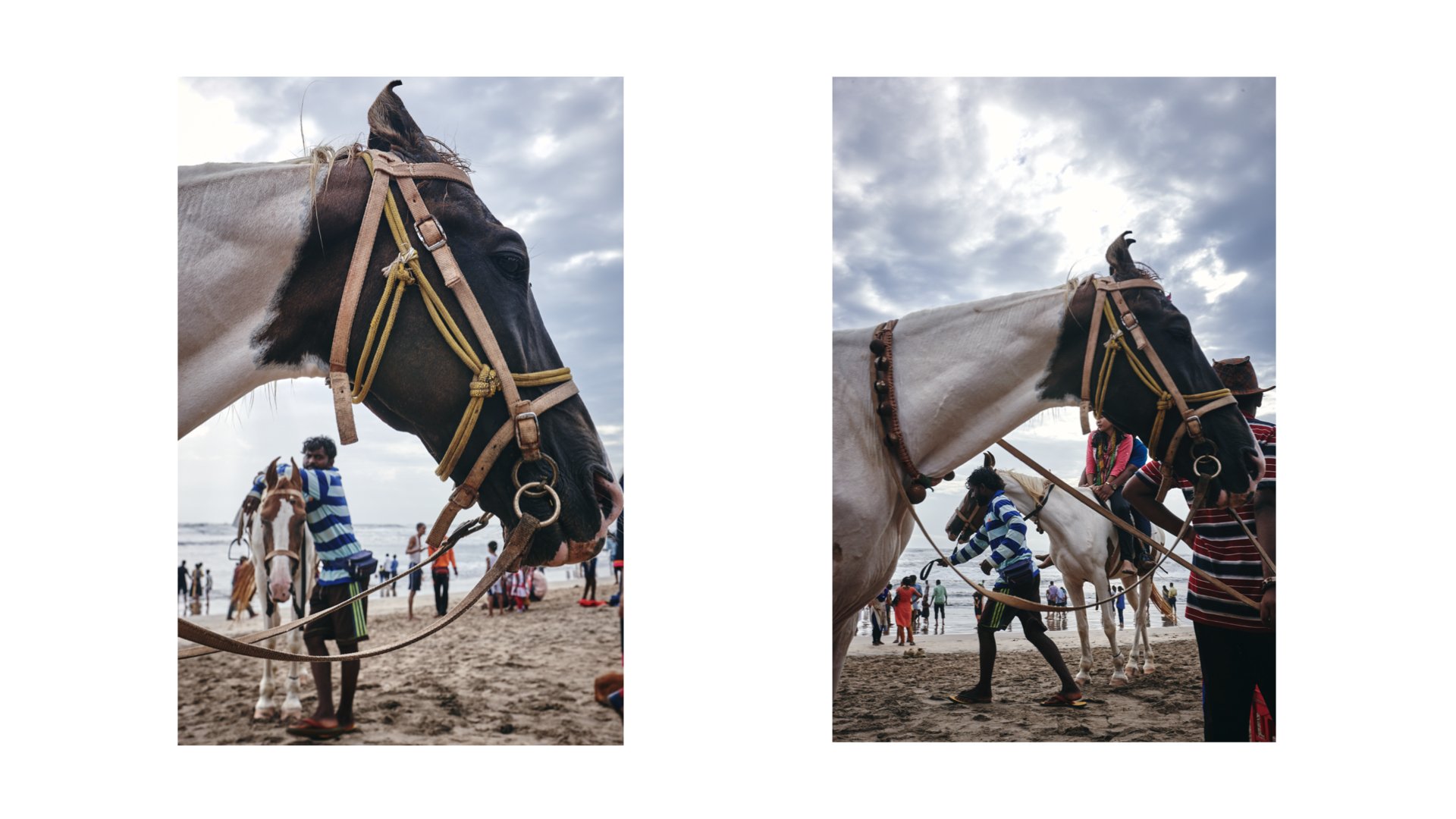 A HORSE STORY.003.jpeg