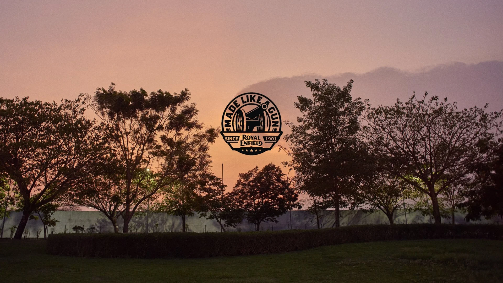 Director of Photography