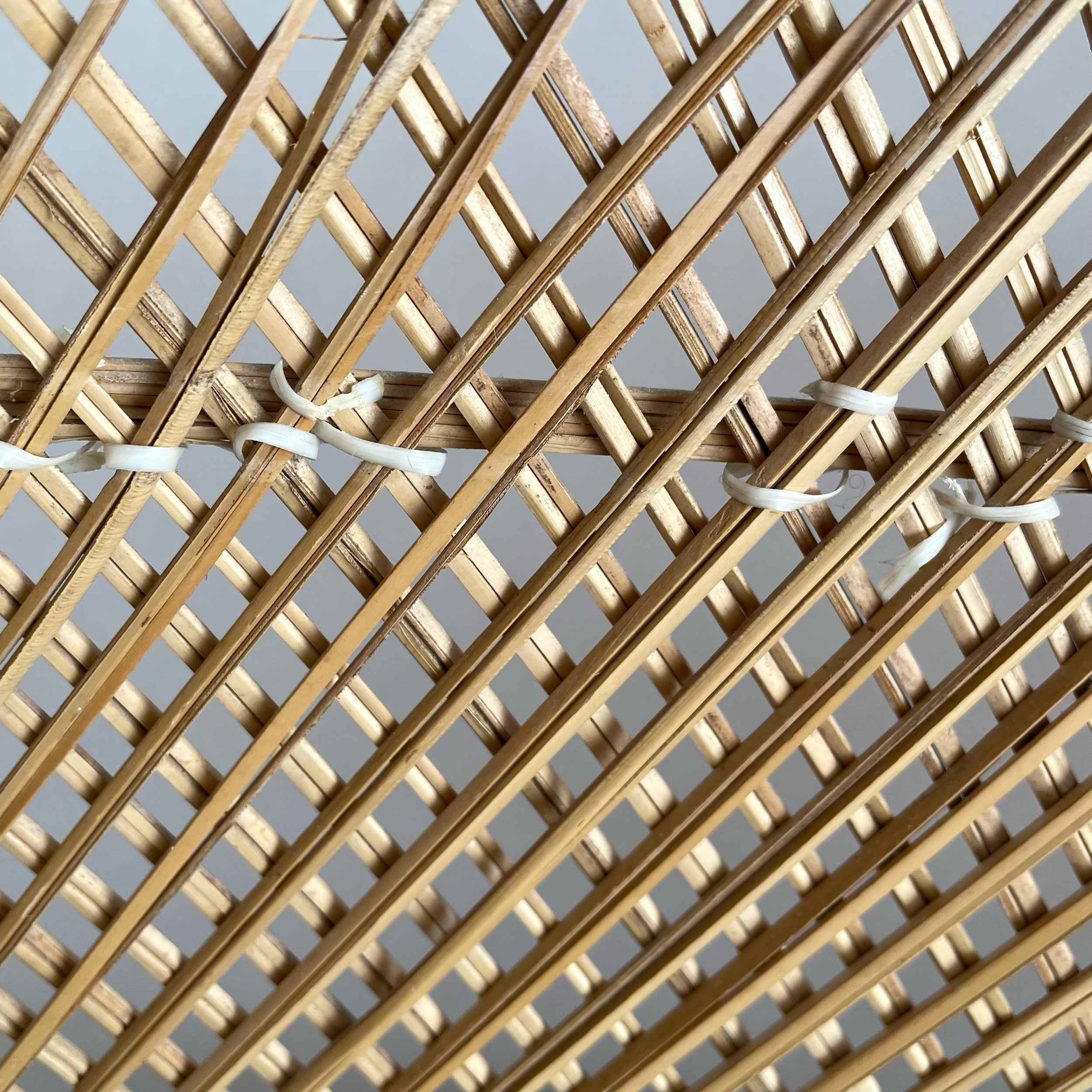 D05073DE-203F-4C49-84B1-913CC238F7DF.jpeg
