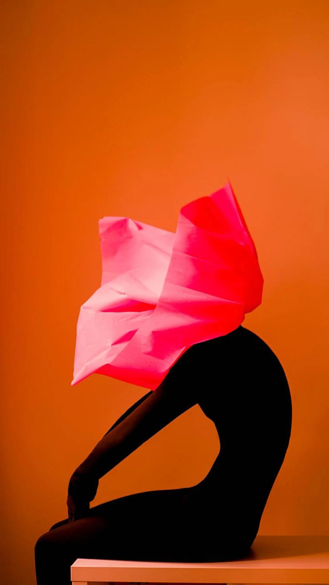 Alina Araslanova “Paper Shelter” at Competa Photo Days