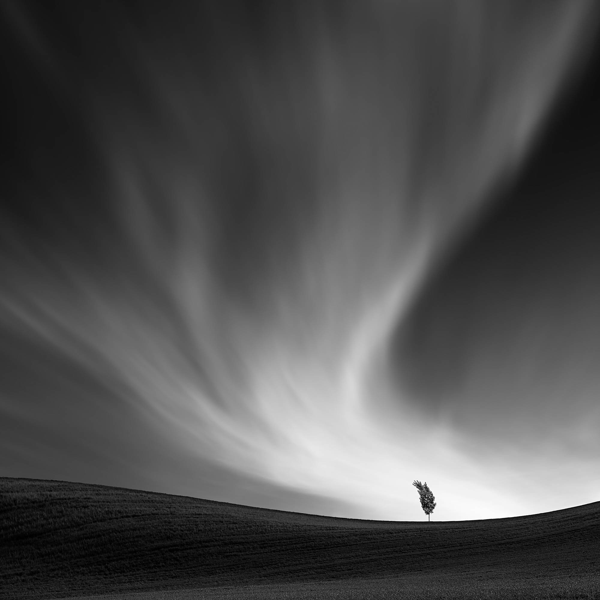 13 points - Windy place-Tomas Tison.jpg