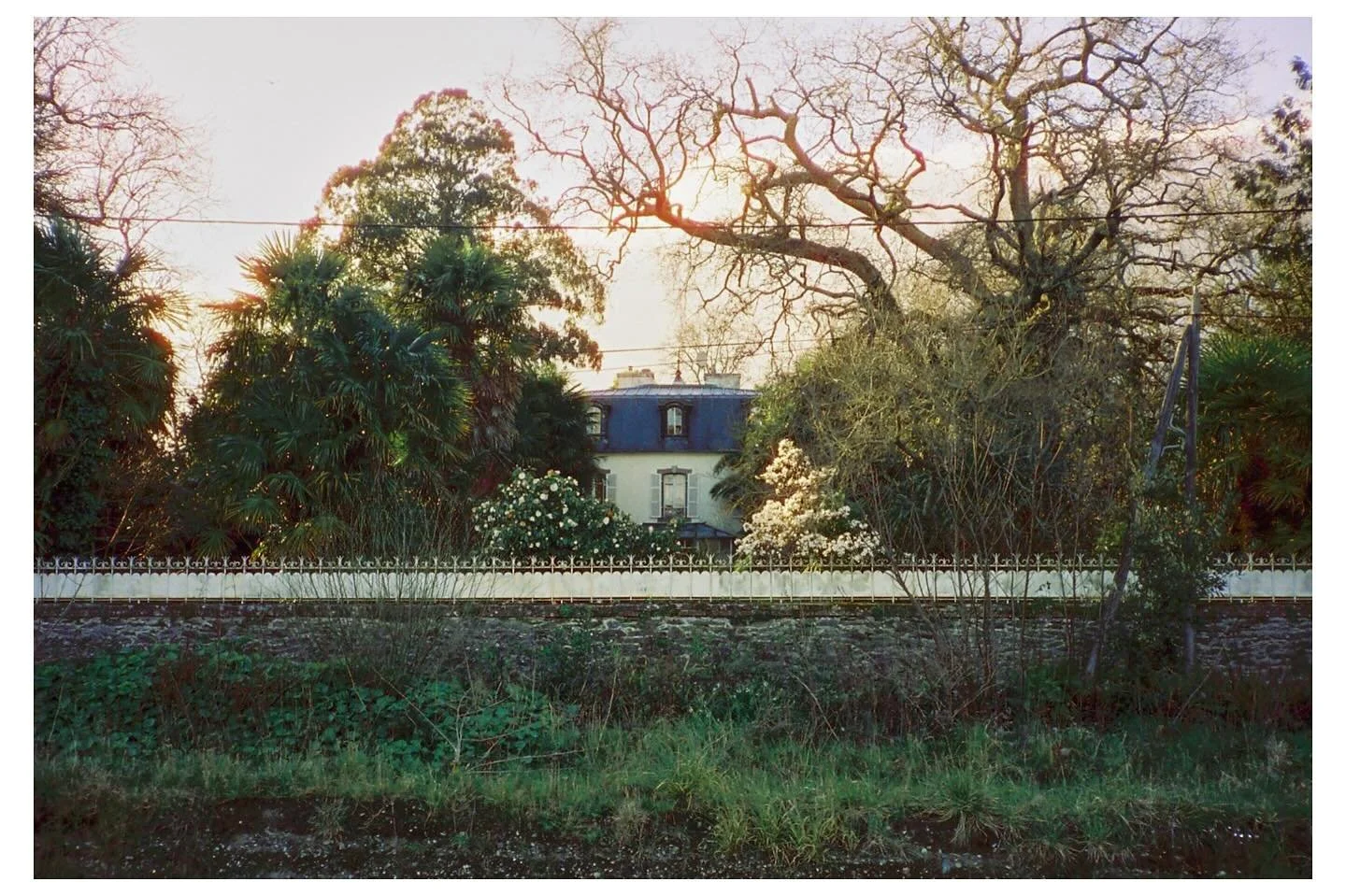 🌳🏠🌳