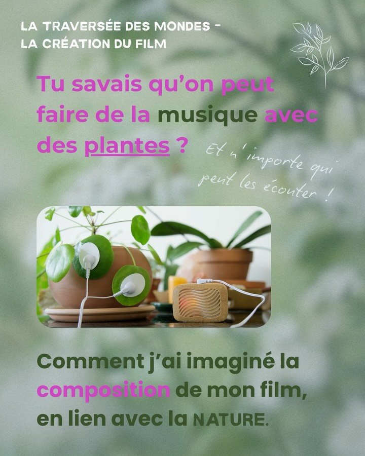 Comment j&rsquo;ai imagin&eacute; la composition du documentaire, avec les plantes gr&acirc;ce &agrave; @plantwave 🌱✨ 

#MusiqueDesPlantes #Documentaire #Cr&eacute;ation ProcessusCr&eacute;atif FilmInd&eacute;pendant NatureVibes PlantMusic BehindThe