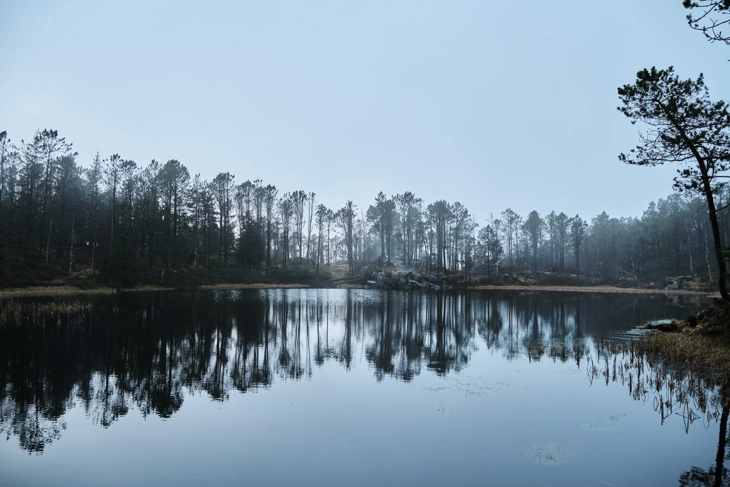 📍Norv&egrave;ge 📸

Besoin d&rsquo;images ? Contactez-moi en DM ou &agrave; contact.louisekowalski@gmail.com
&bull;
&bull;
&bull;
&bull;
#lyon #photo #norvege #paysages #travelphotographer