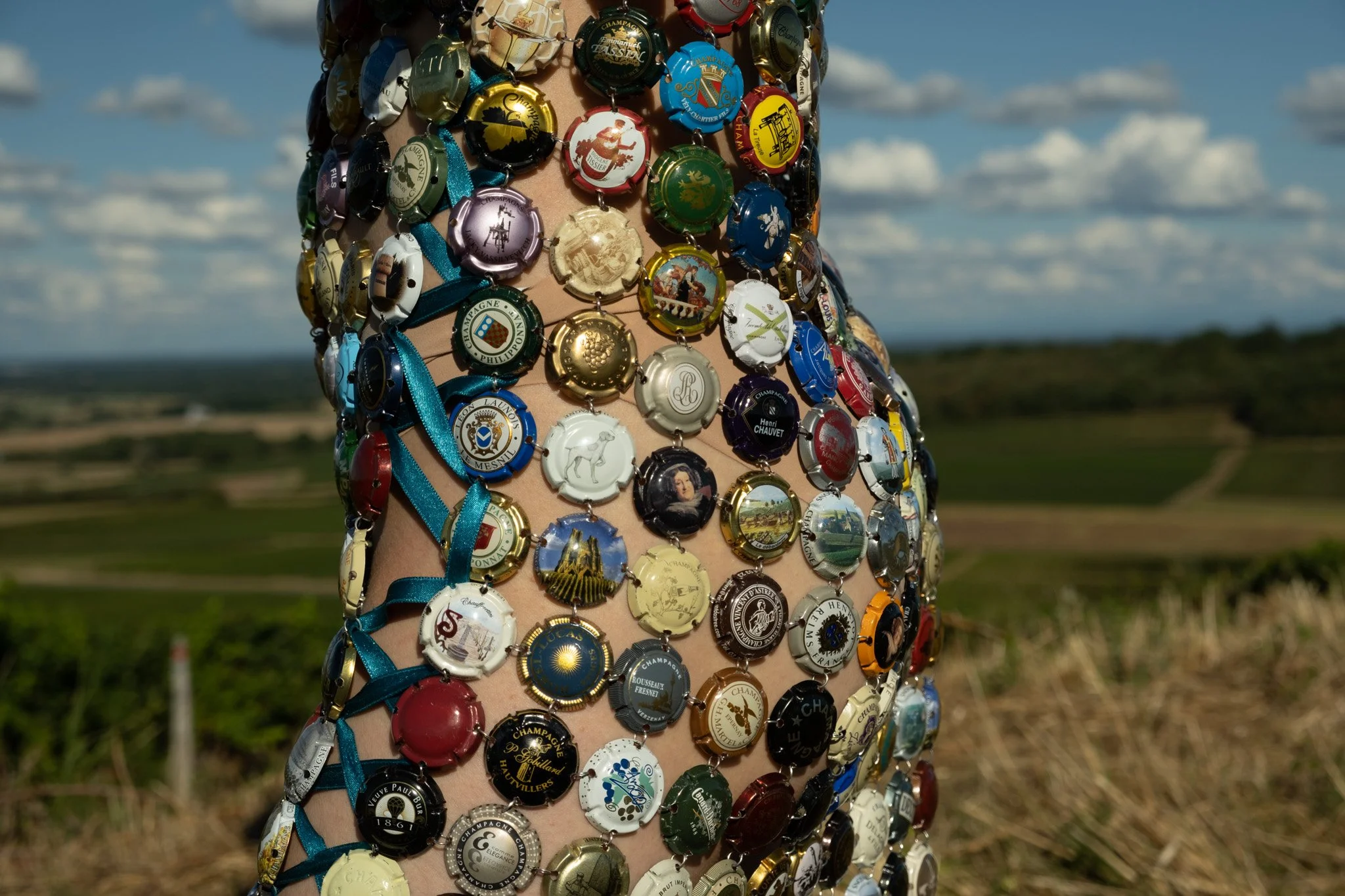 DSCF6113.jpg