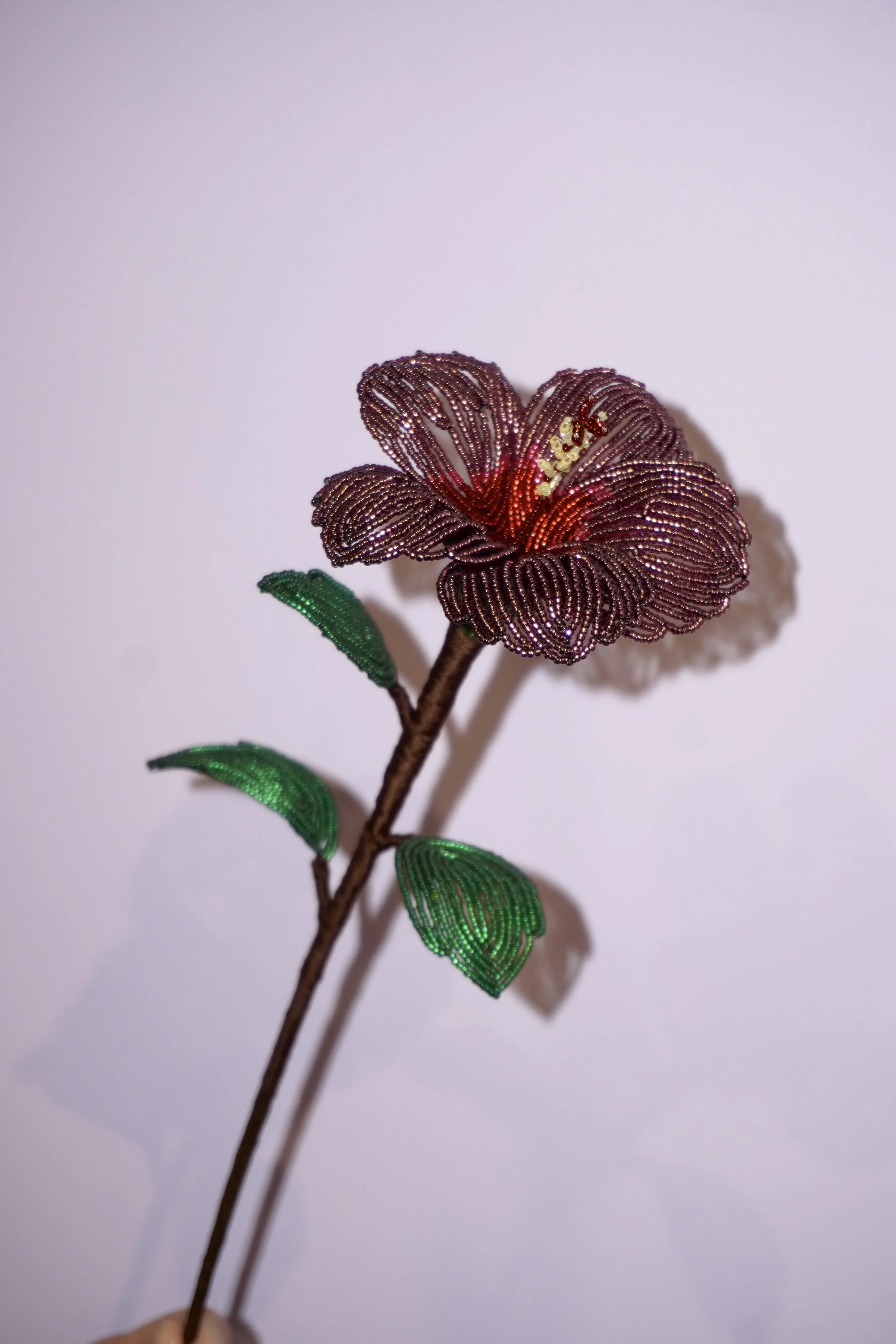 DSC07269.JPG