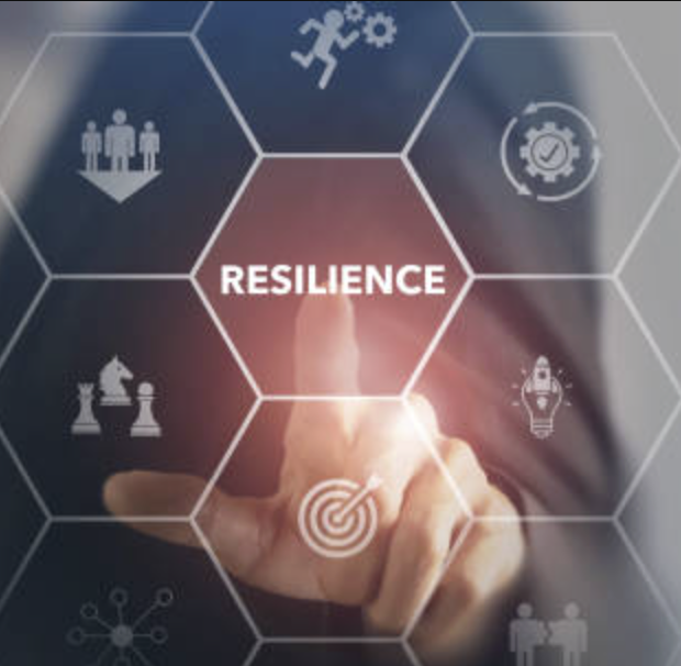 Manchester Group Meeting - Resilience with Emma Bell