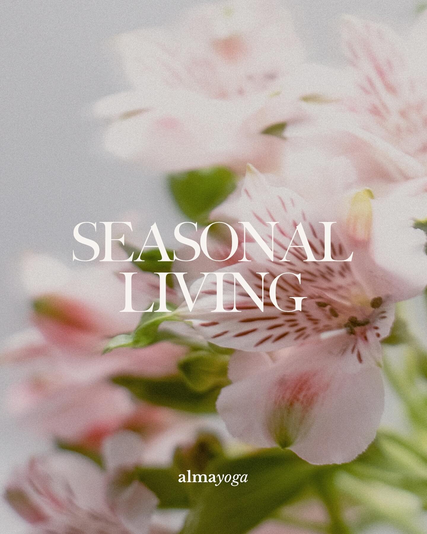 What do we mean by &lsquo;Seasonal Living&rsquo;? ✨

I often get asked this question when it comes to our &lsquo;Seasonal Resets&rsquo;, and I am so passionate about the topic that I could go on and on forever! But&hellip; in a nutshell:

Seasonal li