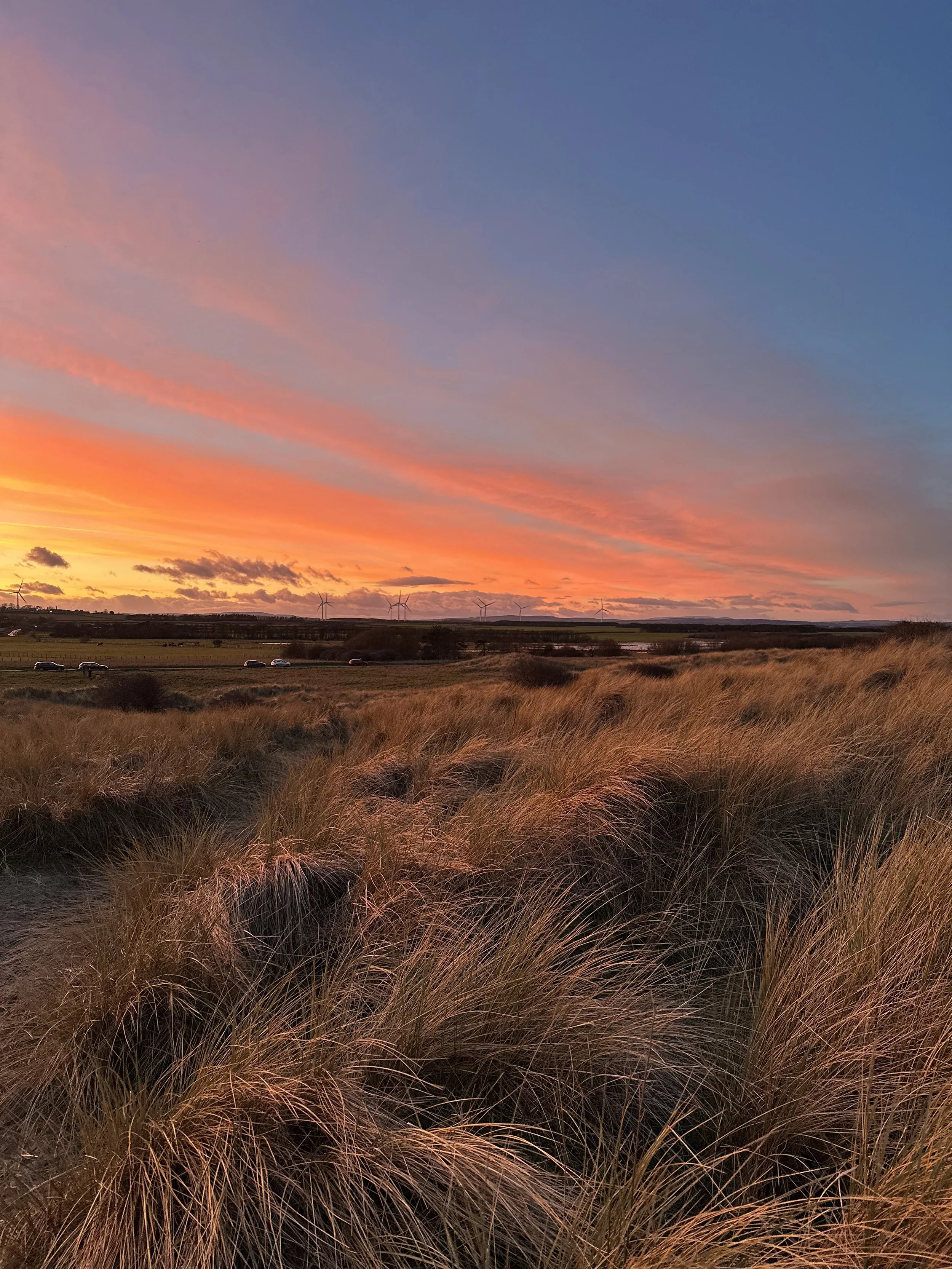 A picture taken by a mother on a journey into the worth of mothering