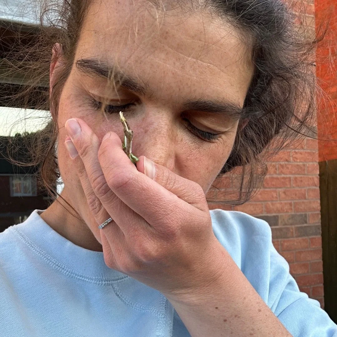 Breath work for postnatal healing