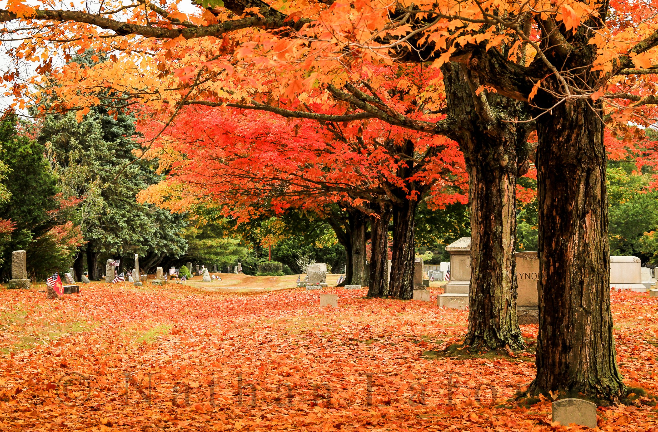 South Kingstown, Rhode Island