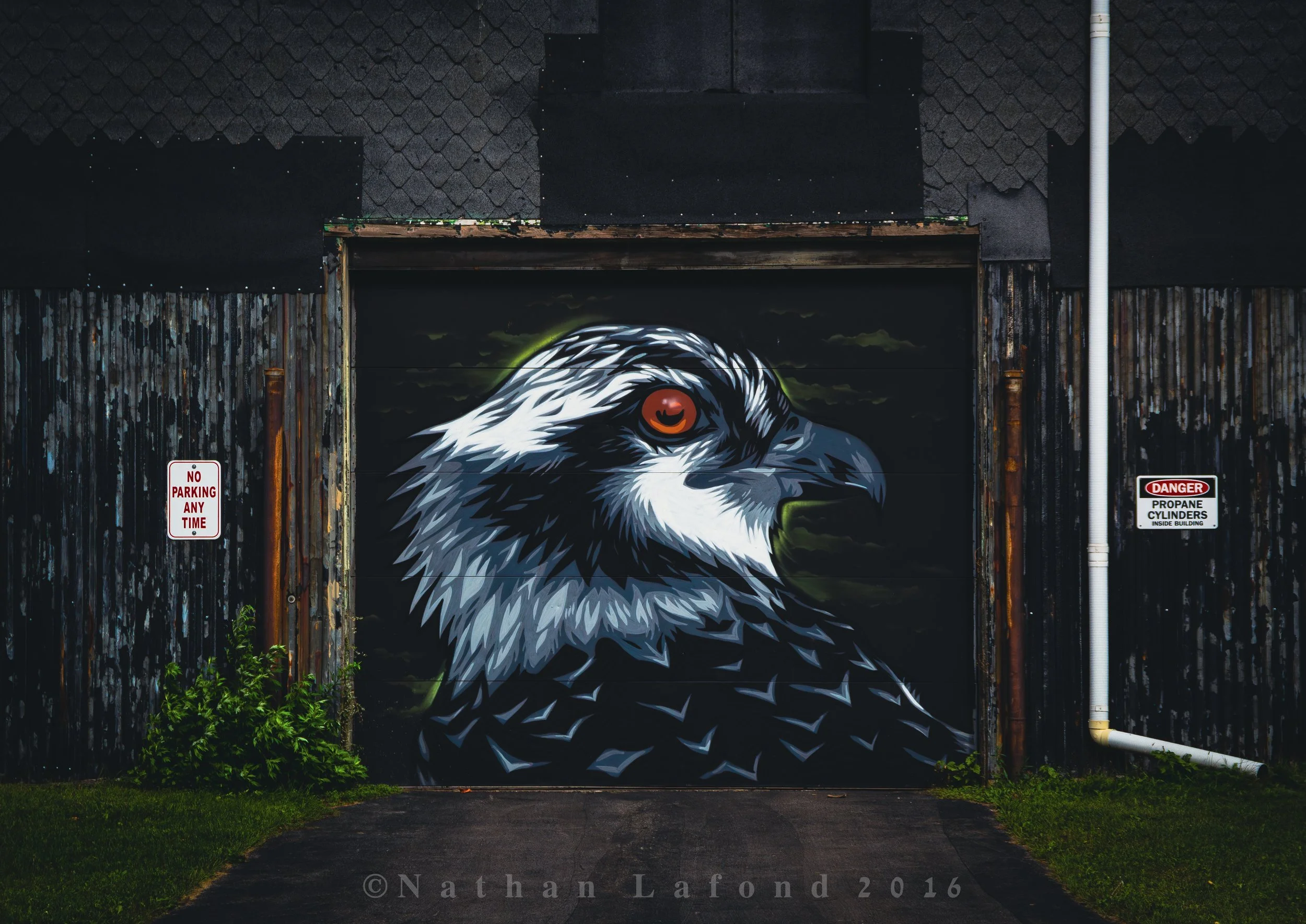 Artwork by Justin Suarez - Rochester, NY