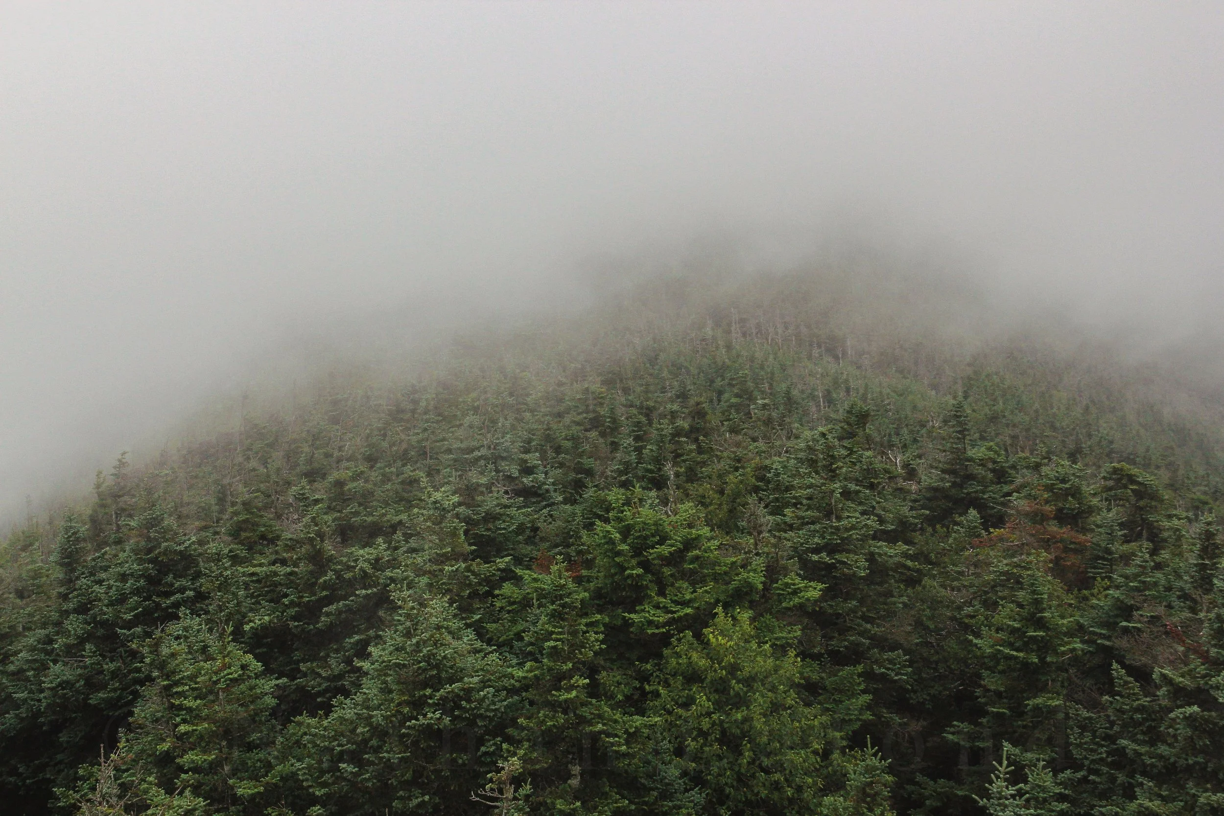 Cannon Mountain - Franconia, New Hampshire