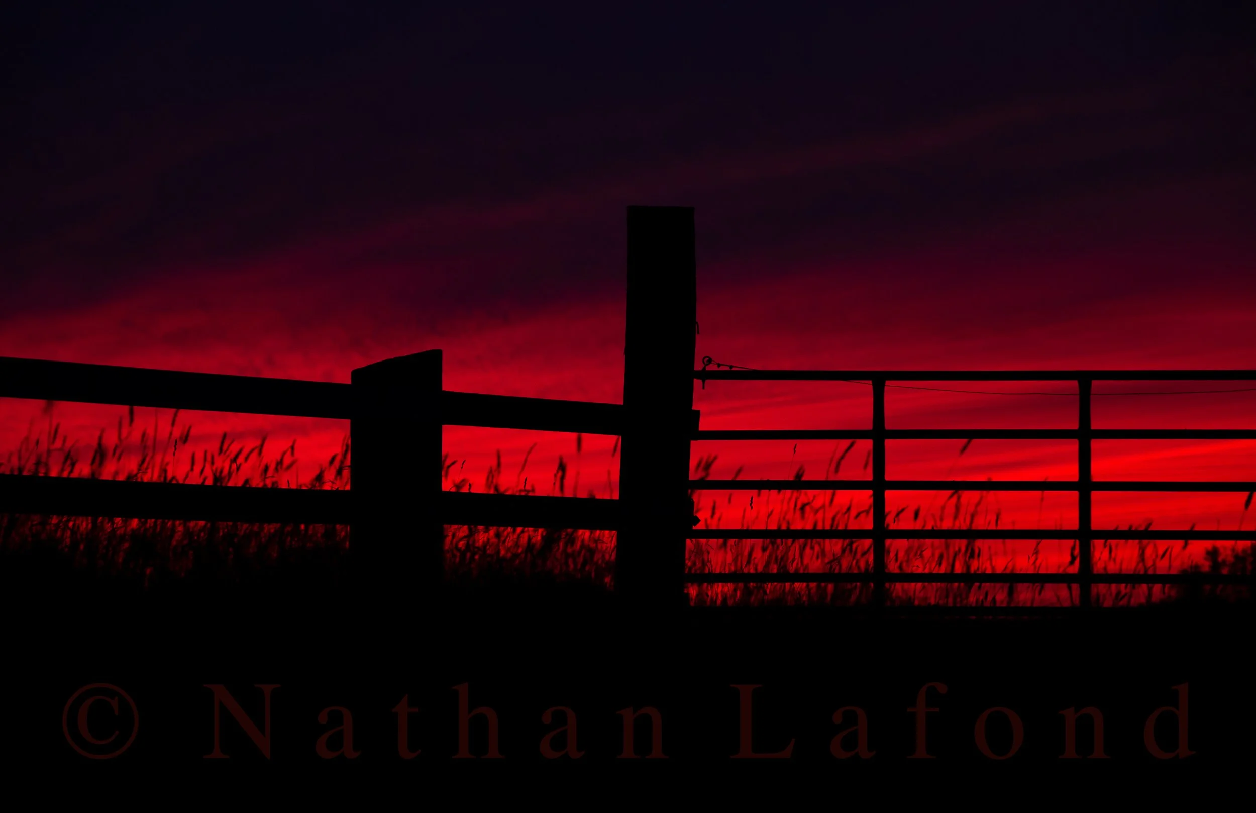 Blood Red Silhouette - Cumberland, RI. 