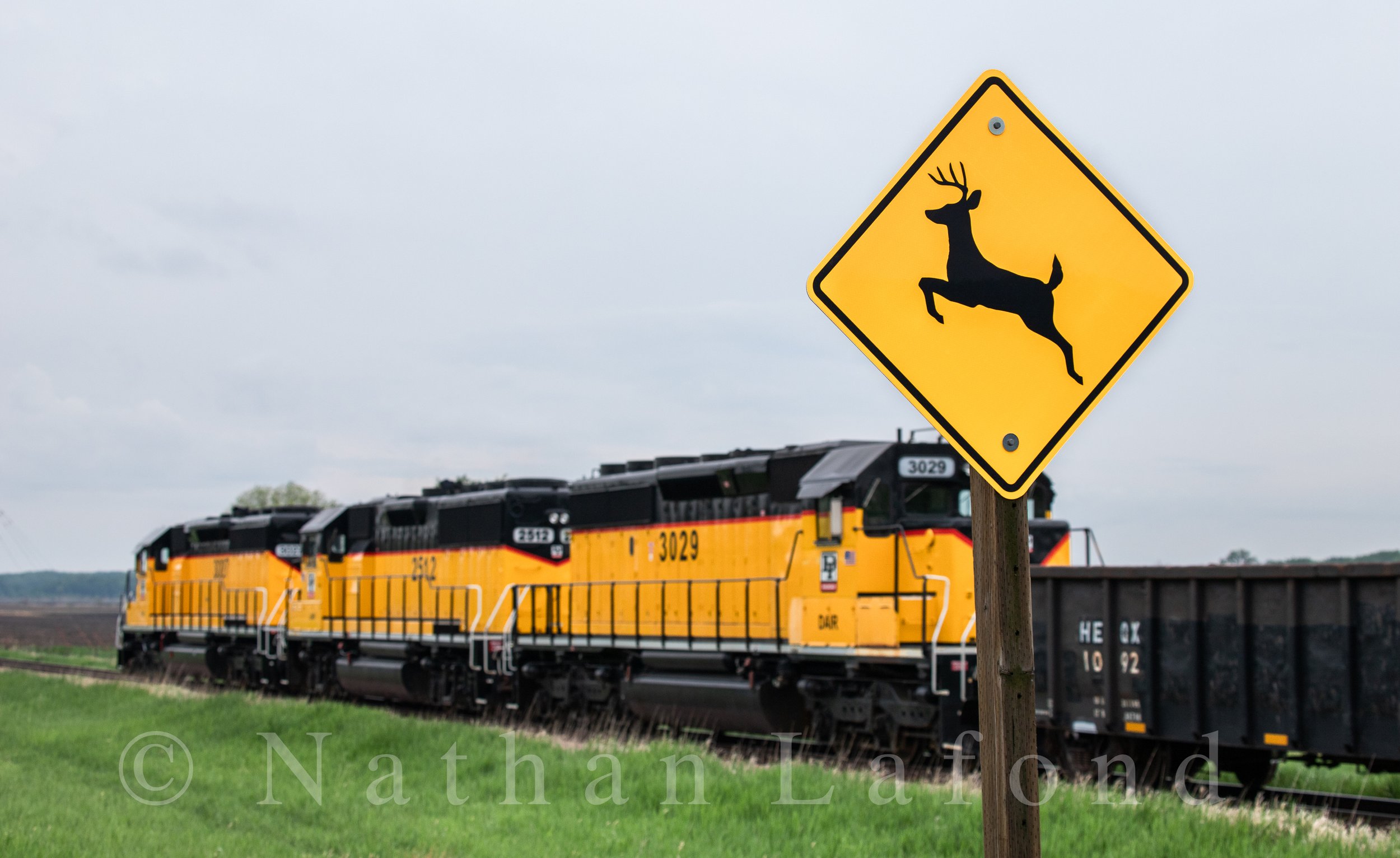 Deer crossing sign by the Dakota and Iowa Railroad's right of way. - Westfield, Iowa.