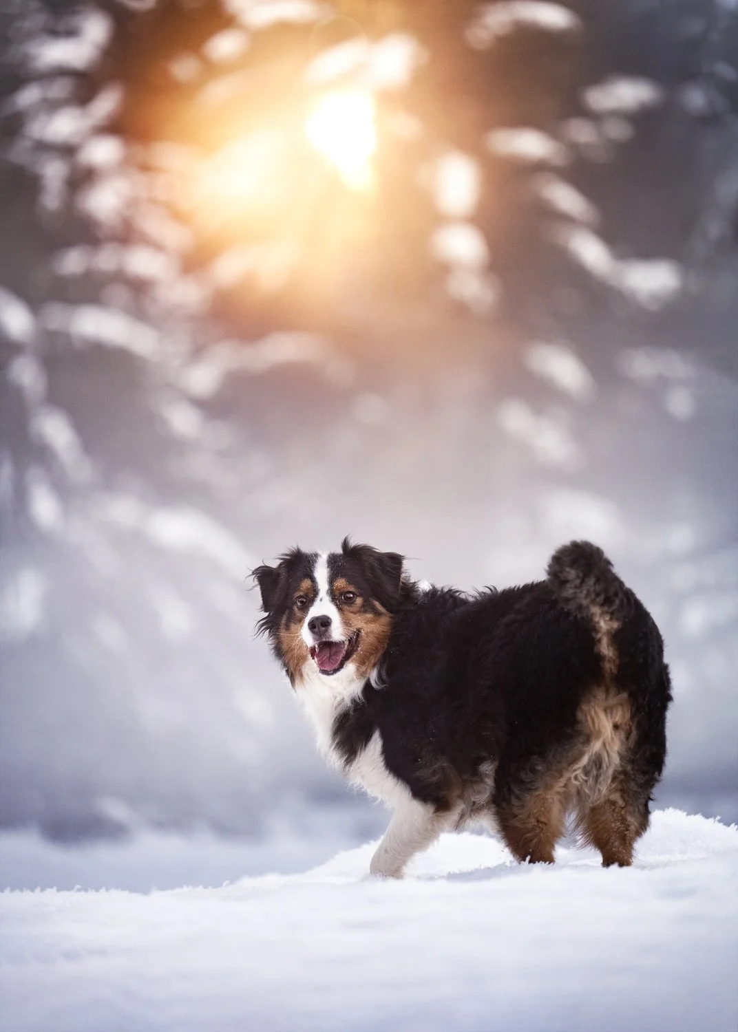 NKP - zimsko fotografiranje-9.jpg