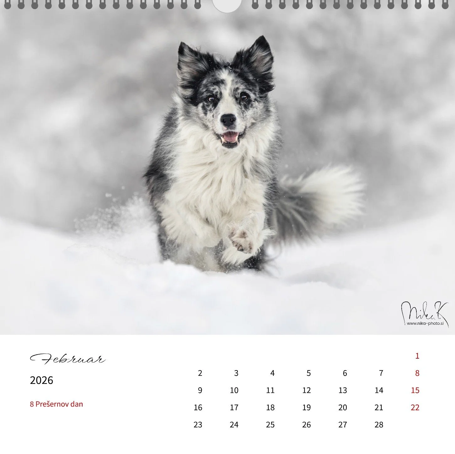 februar.jpg