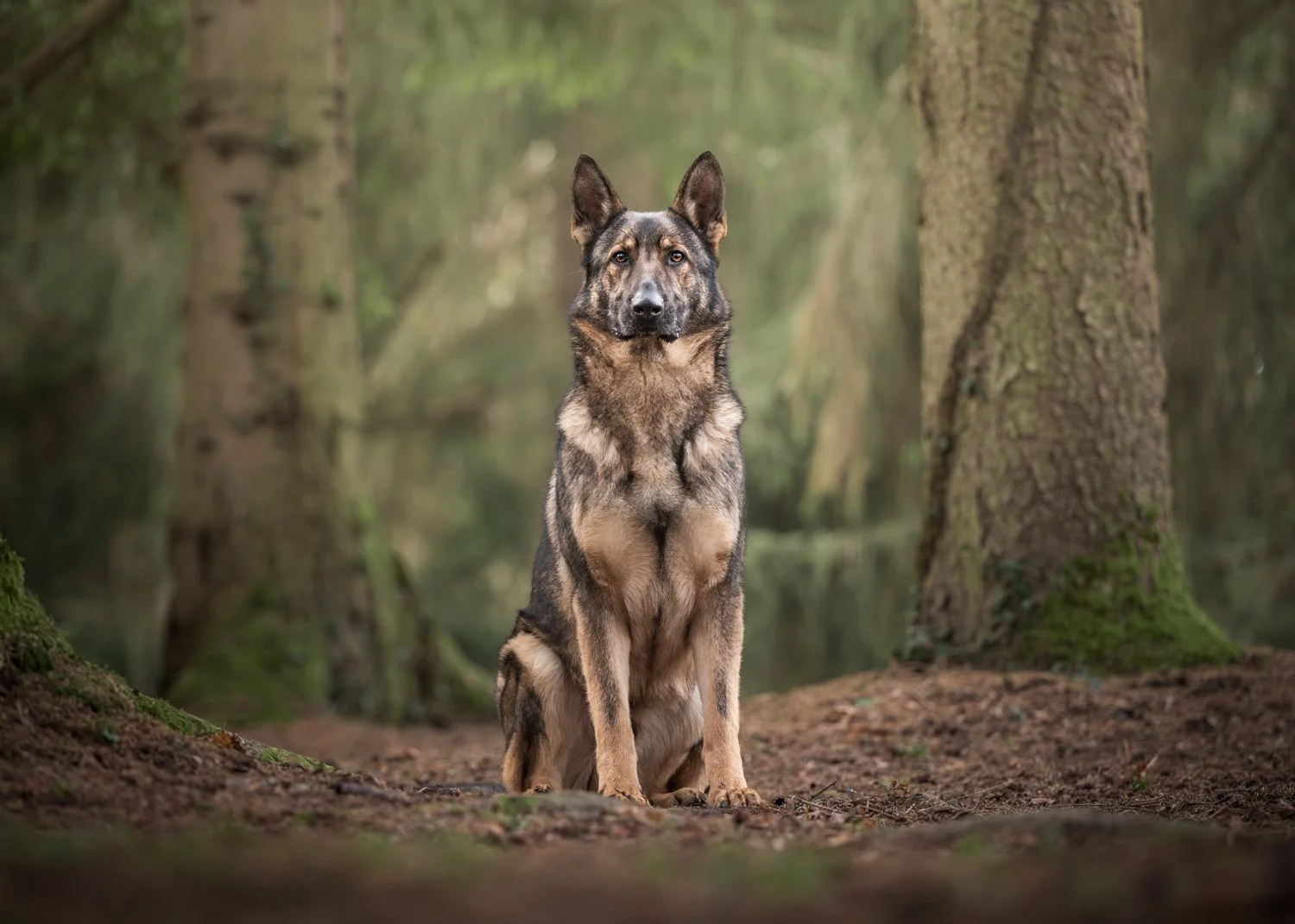 NKP - LR tecaj-1.jpg