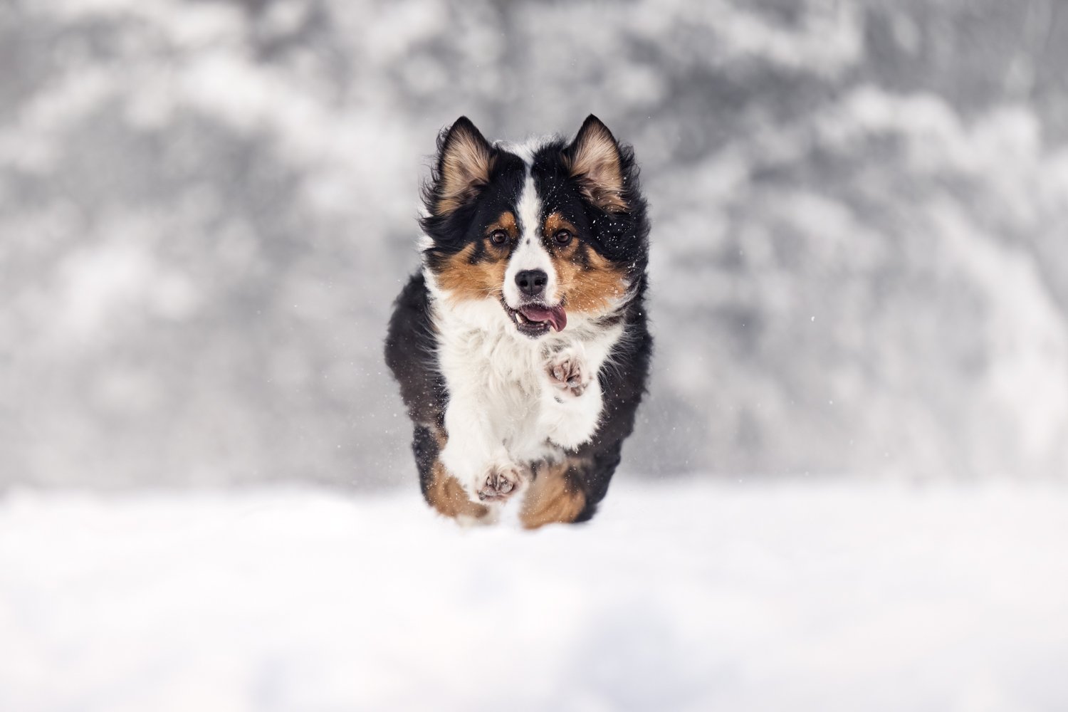 NKP - zimsko fotografiranje-10.jpg