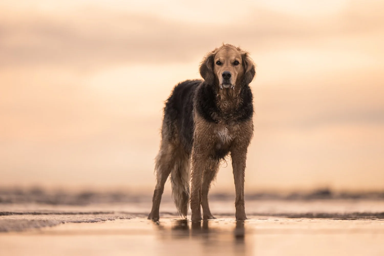 NKP - LR tecaj-6.jpg