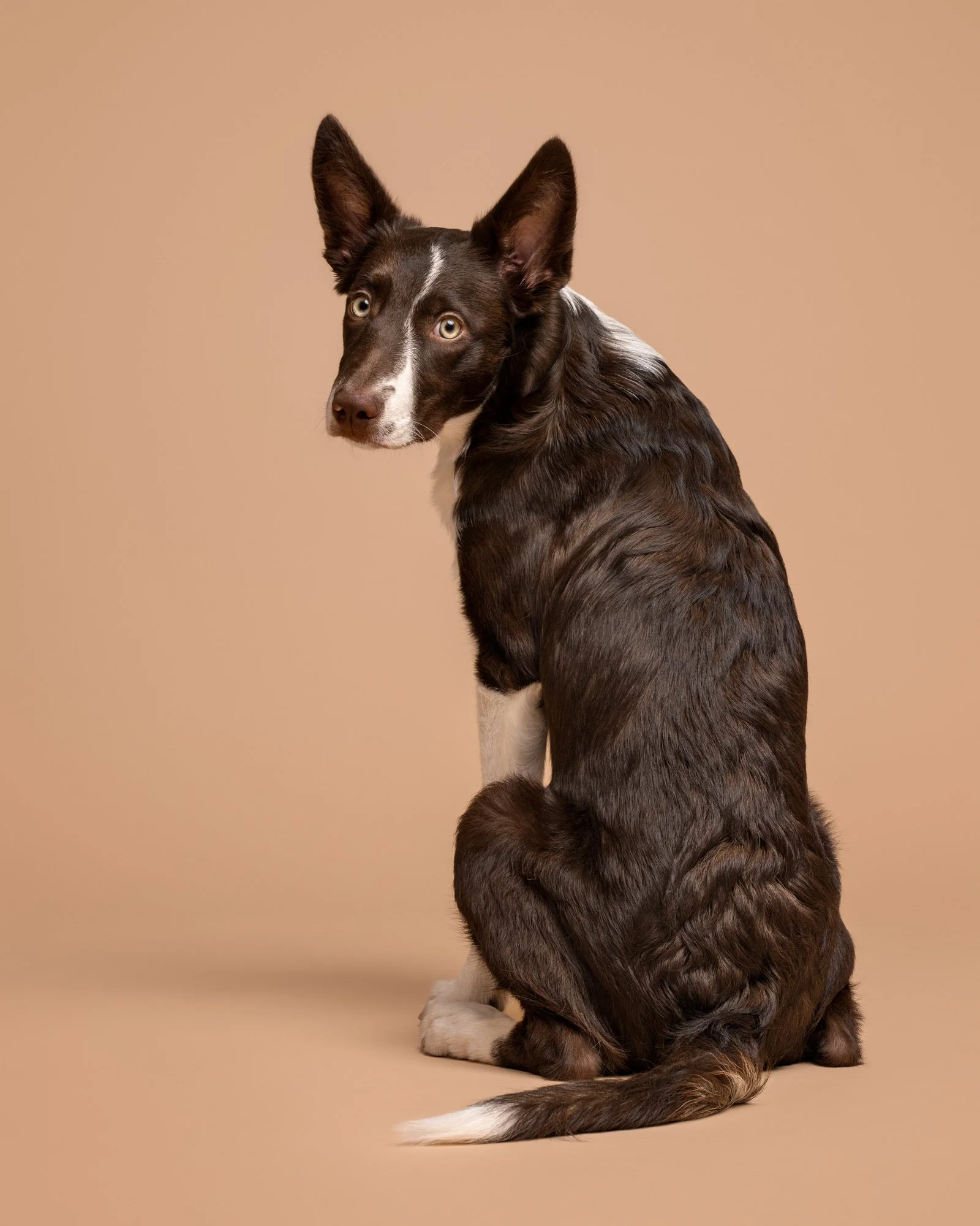 Nika Kuplenk Photoart - Najlepše fotografije-27.jpg