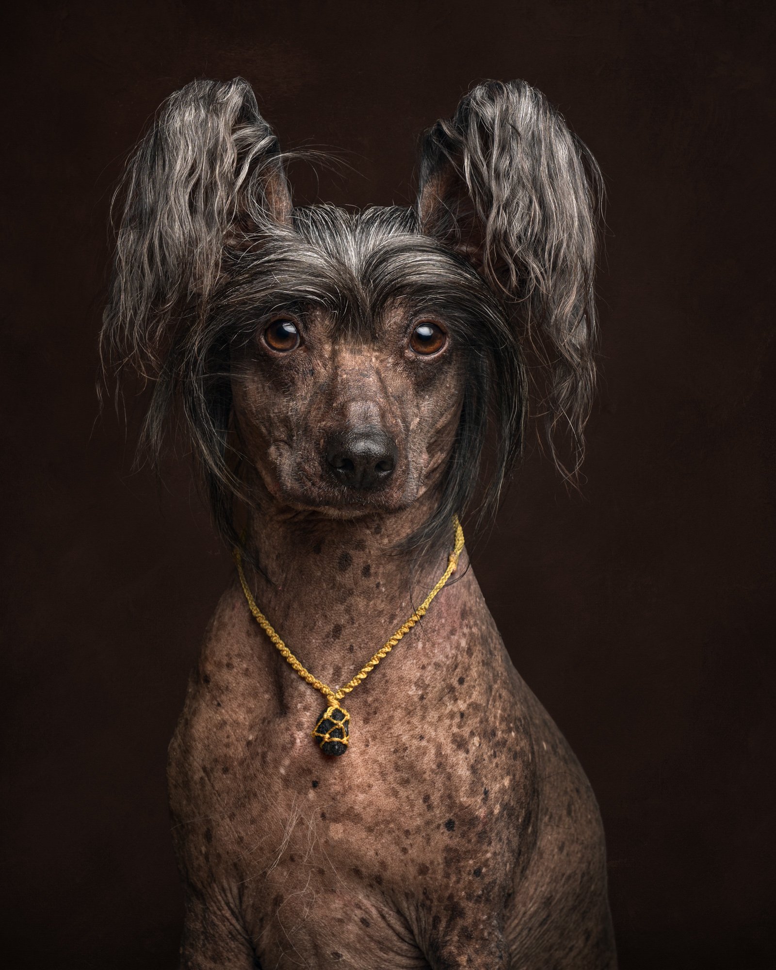 Nika Kuplenk Photoart - Najlepše fotografije-23.jpg