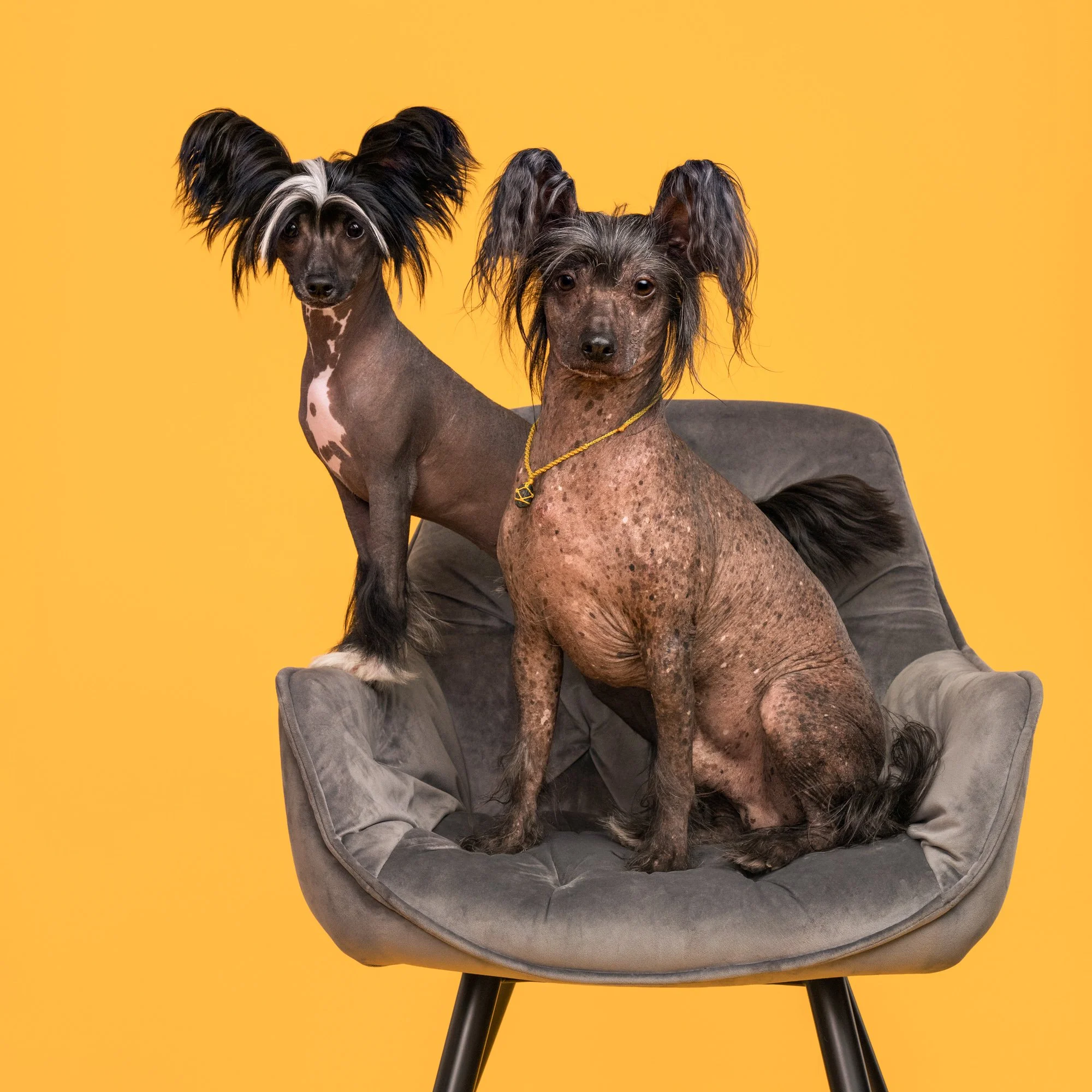 Nika Kuplenk Photoart - Najlepše fotografije-19.jpg