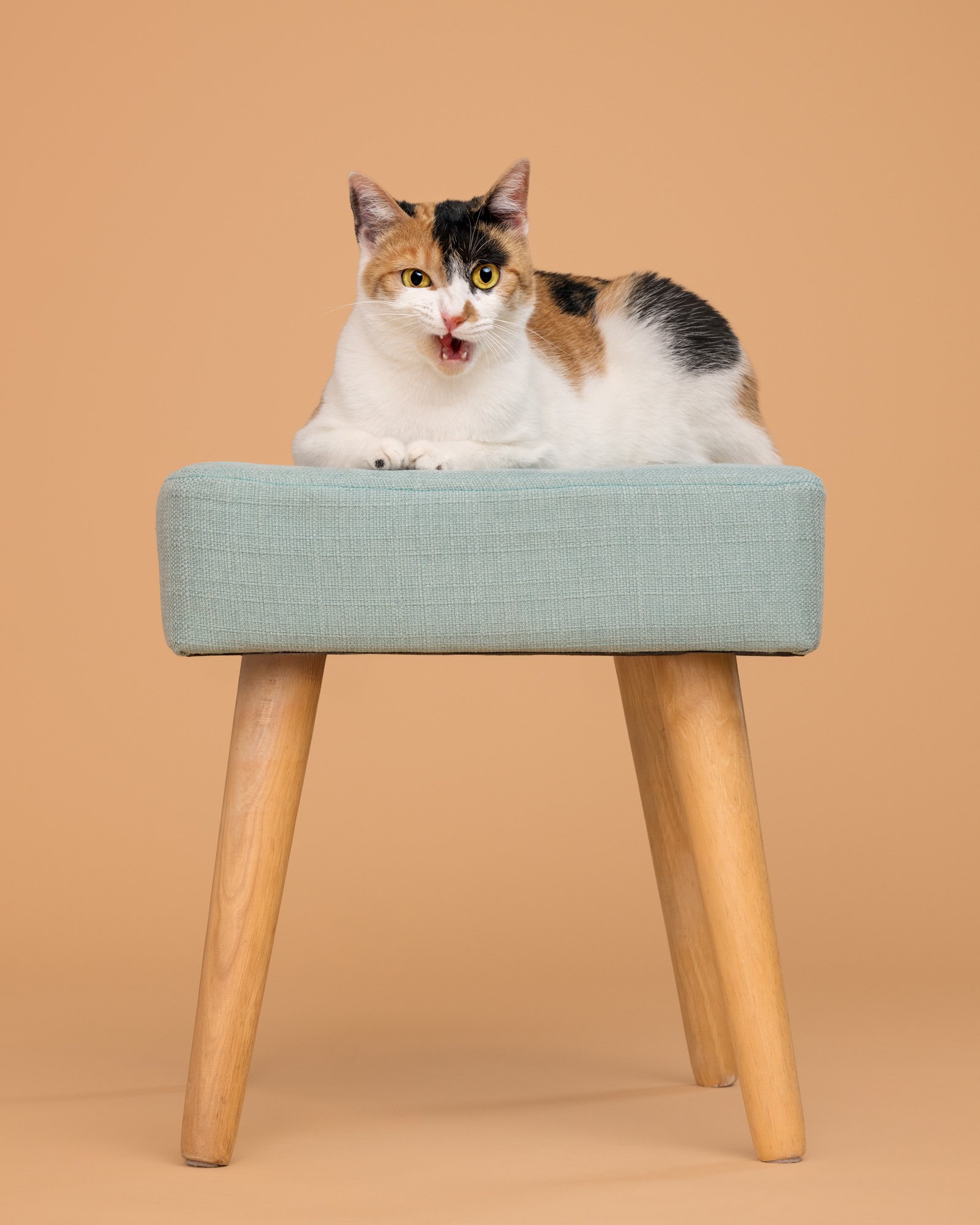 Nika Kuplenk Photoart - Najlepše fotografije-11.jpg