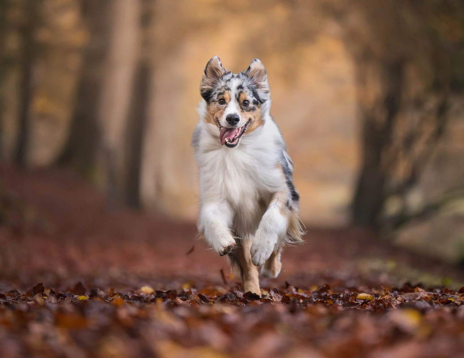 NKP - LR tecaj-4.jpg