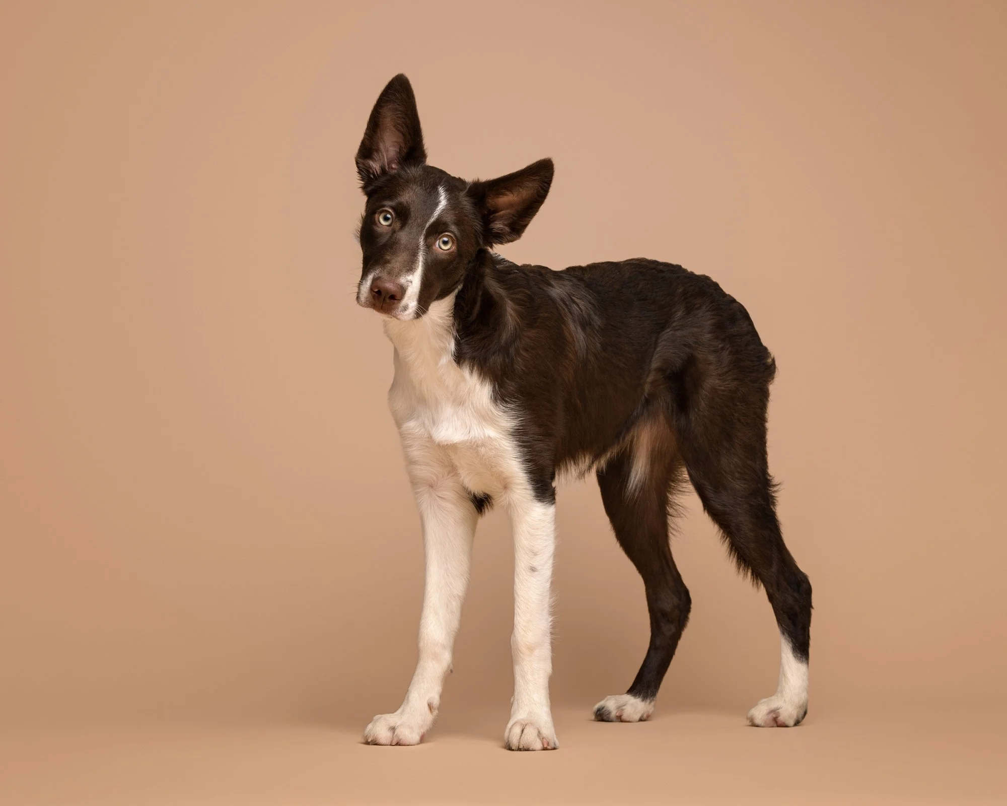 Nika Kuplenk Photoart - Najlepše fotografije-25.jpg