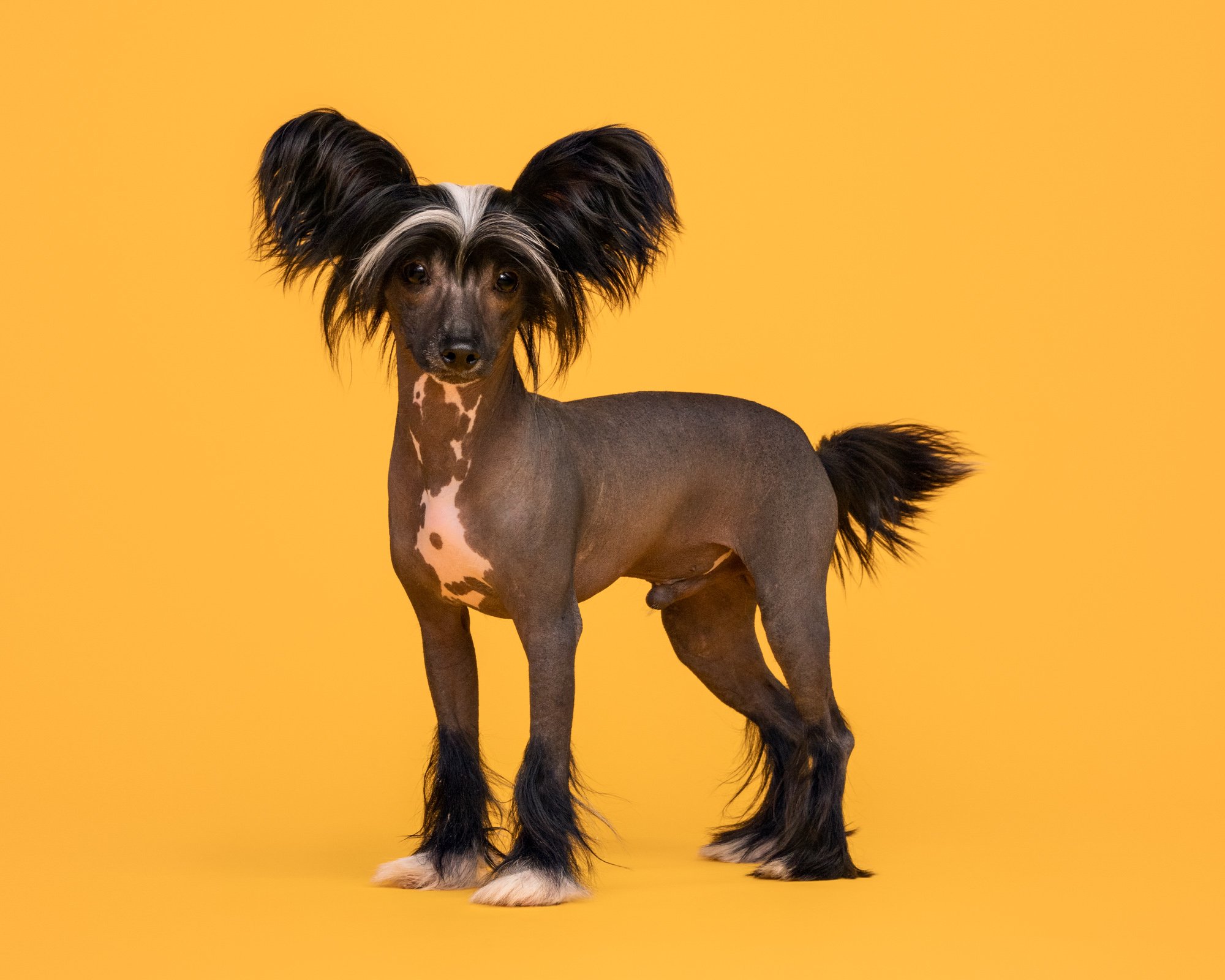 Nika Kuplenk Photoart - Najlepše fotografije-20.jpg