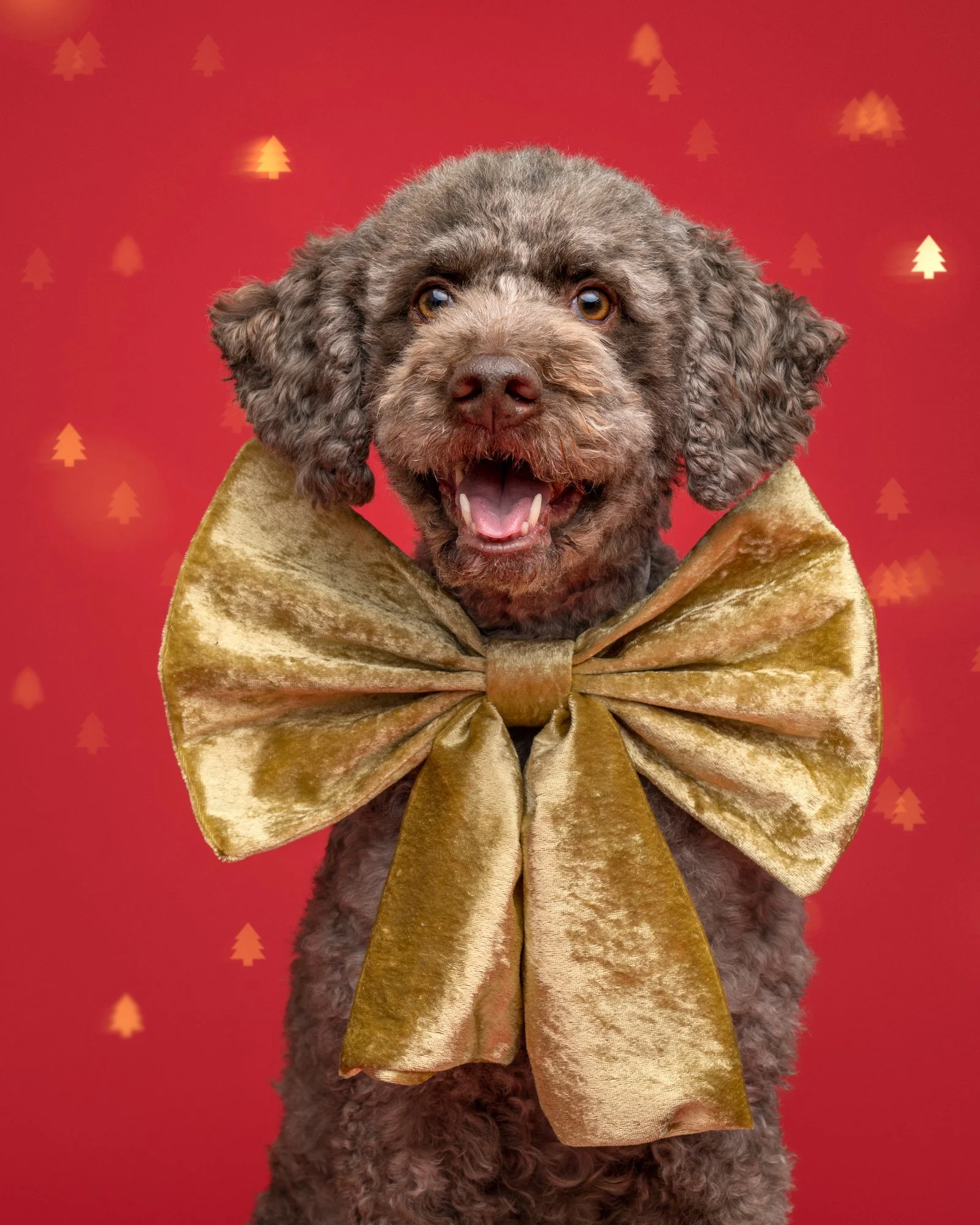 Nika Kuplenk Photoart - Najlepše fotografije-34.jpg