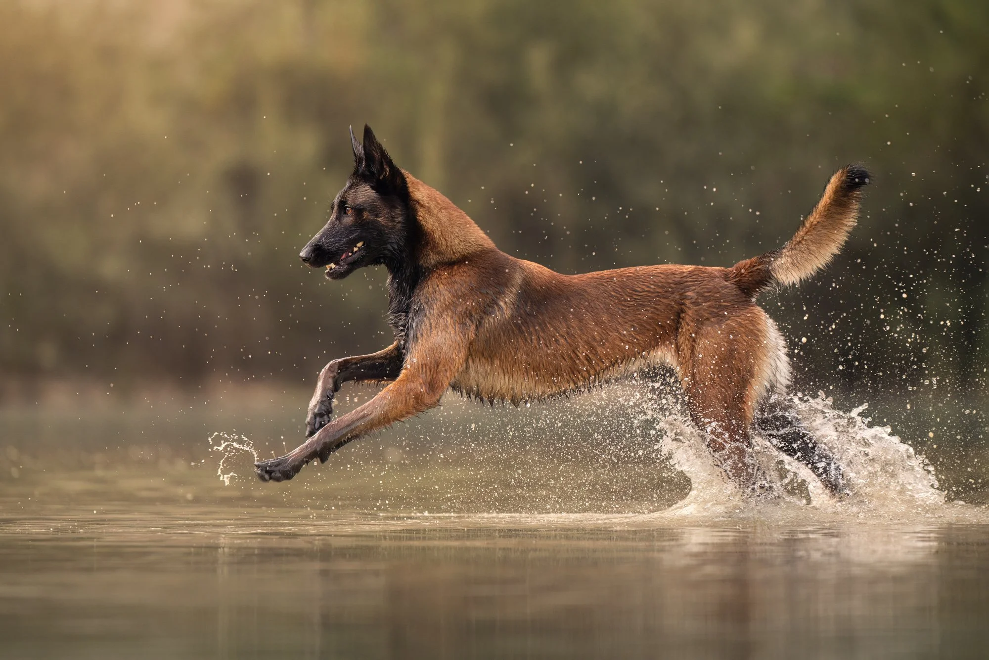 Nika Kuplenk Photoart - Najlepše fotografije-6.jpg