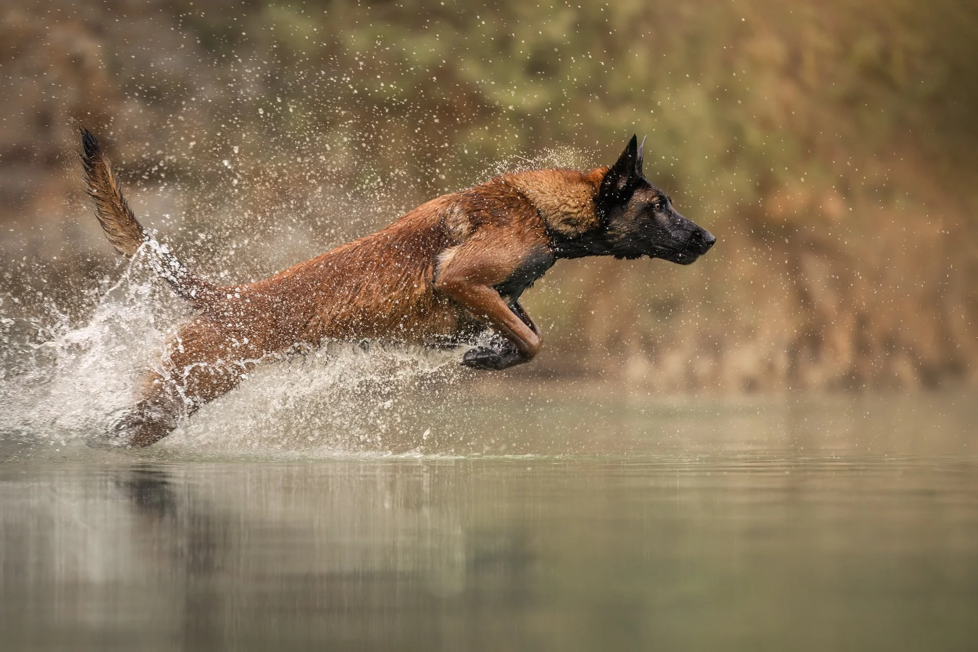 Nika Kuplenk Photoart - Najlepše fotografije-3.jpg