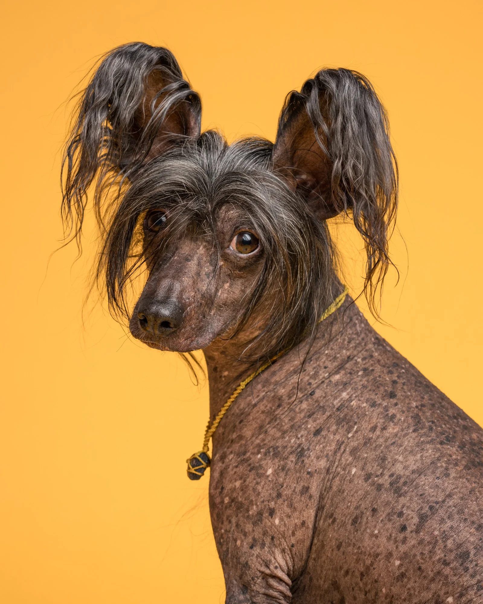 Nika Kuplenk Photoart - Najlepše fotografije-21.jpg