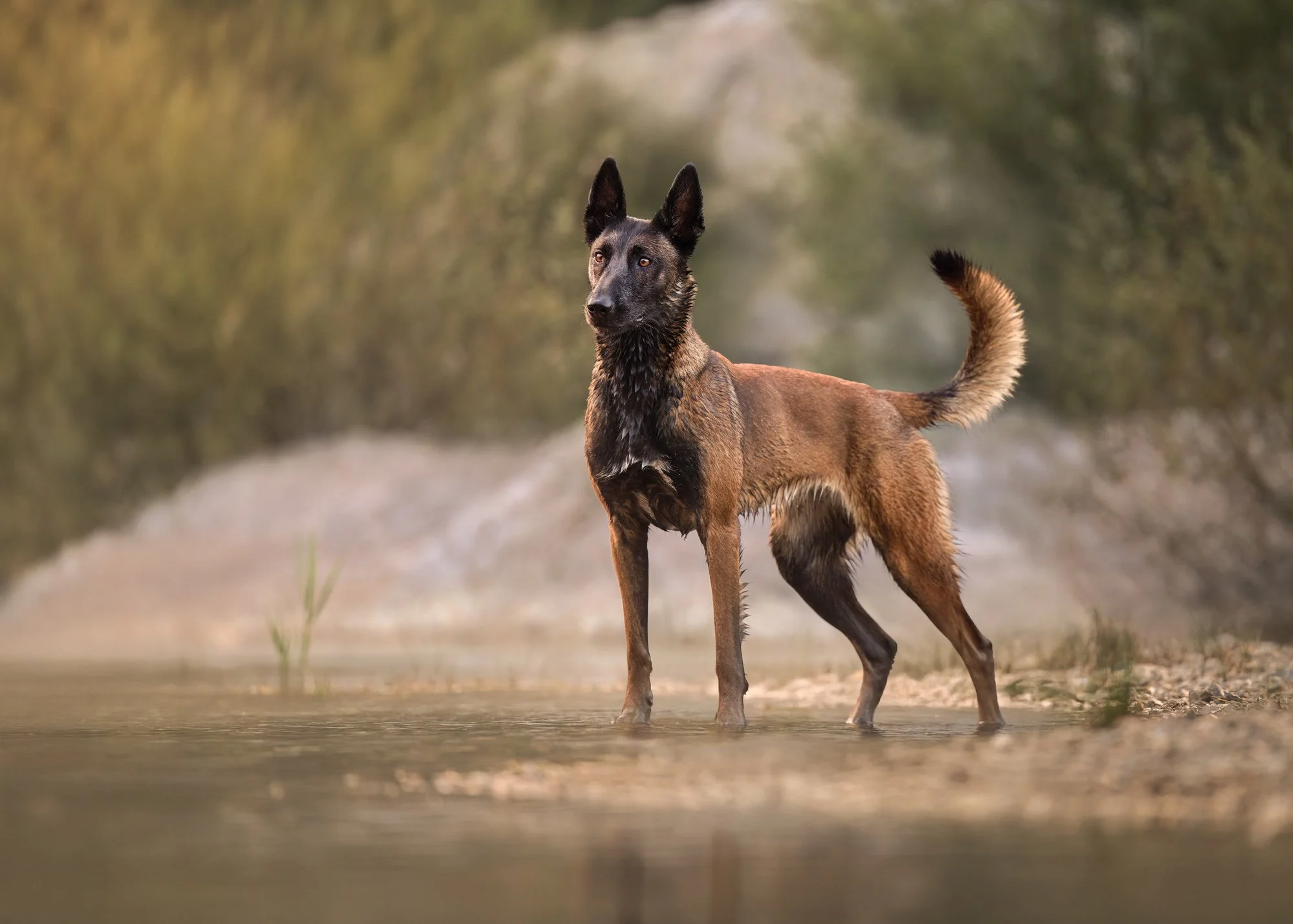 Nika Kuplenk Photoart - Najlepše fotografije-2.jpg