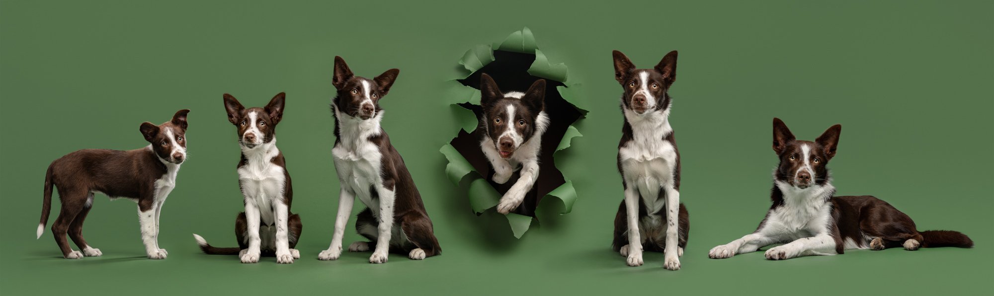 Nika Kuplenk Photoart - Najlepše fotografije-2.jpg