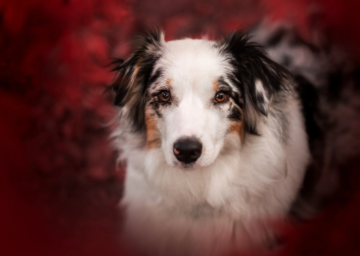 Nika Kuplenk Photography-2.jpg