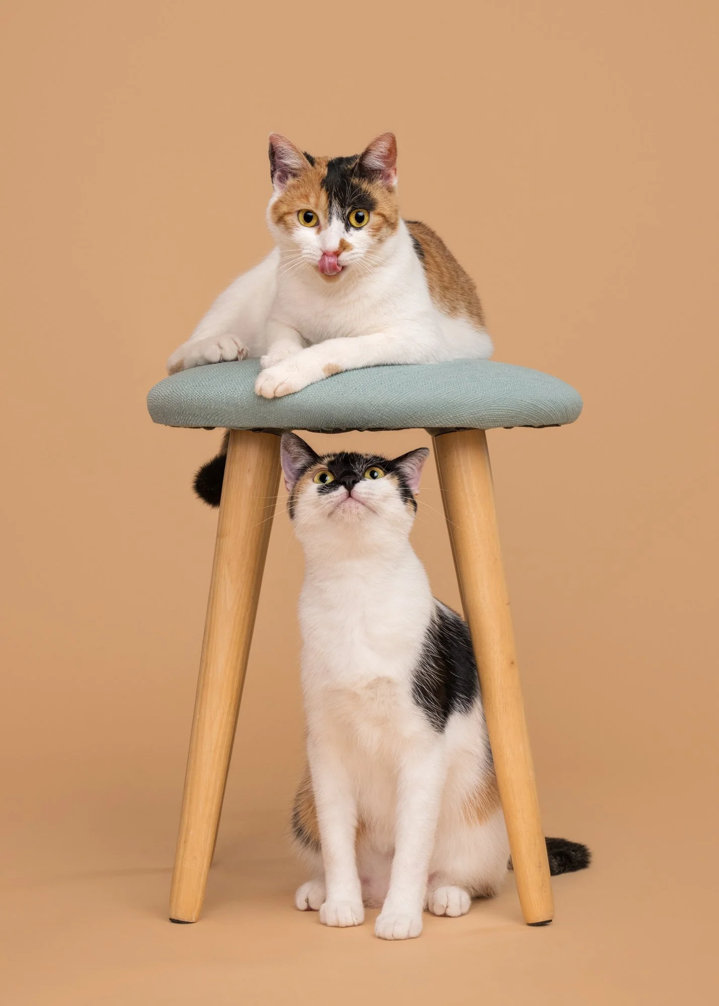 Nika Kuplenk Photoart - Najlepše fotografije-13.jpg