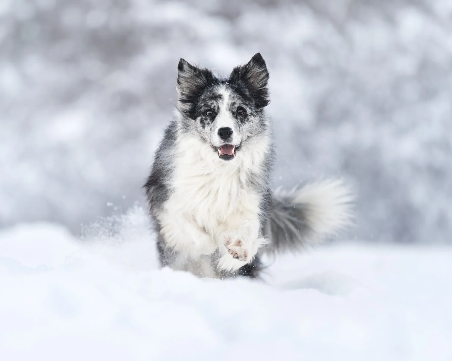 NKP - LR tecaj-5.jpg