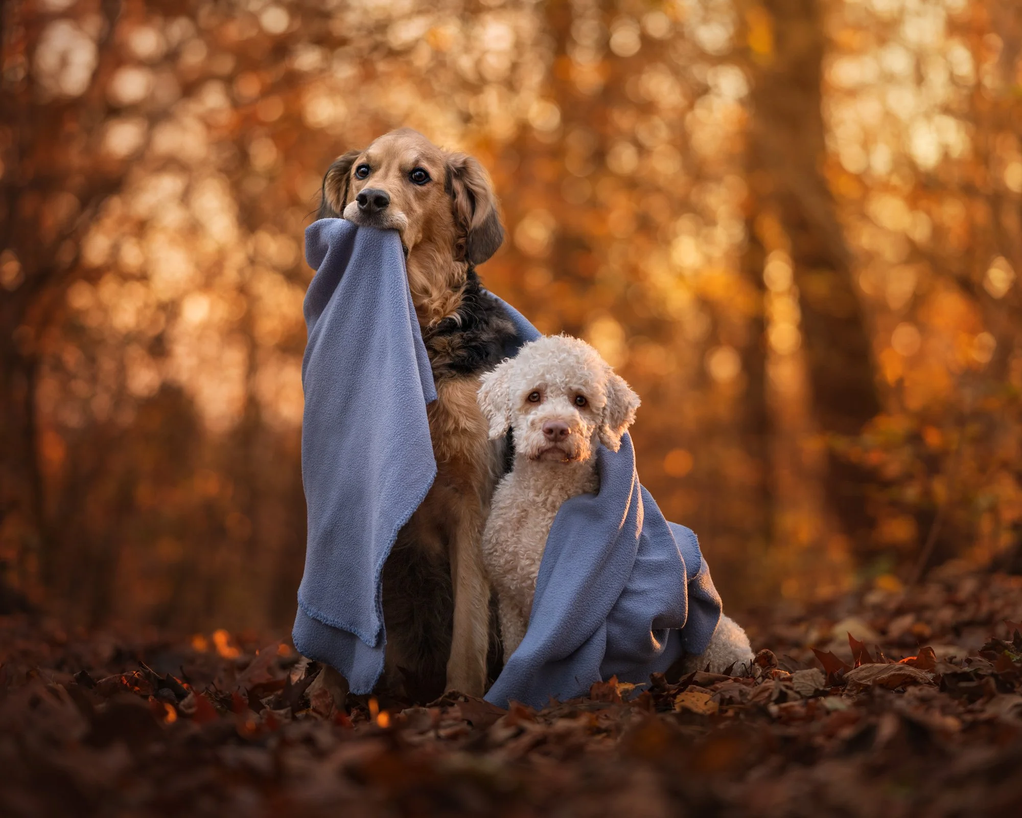 Nika Kuplenk Photoart - Najlepše fotografije-24.jpg